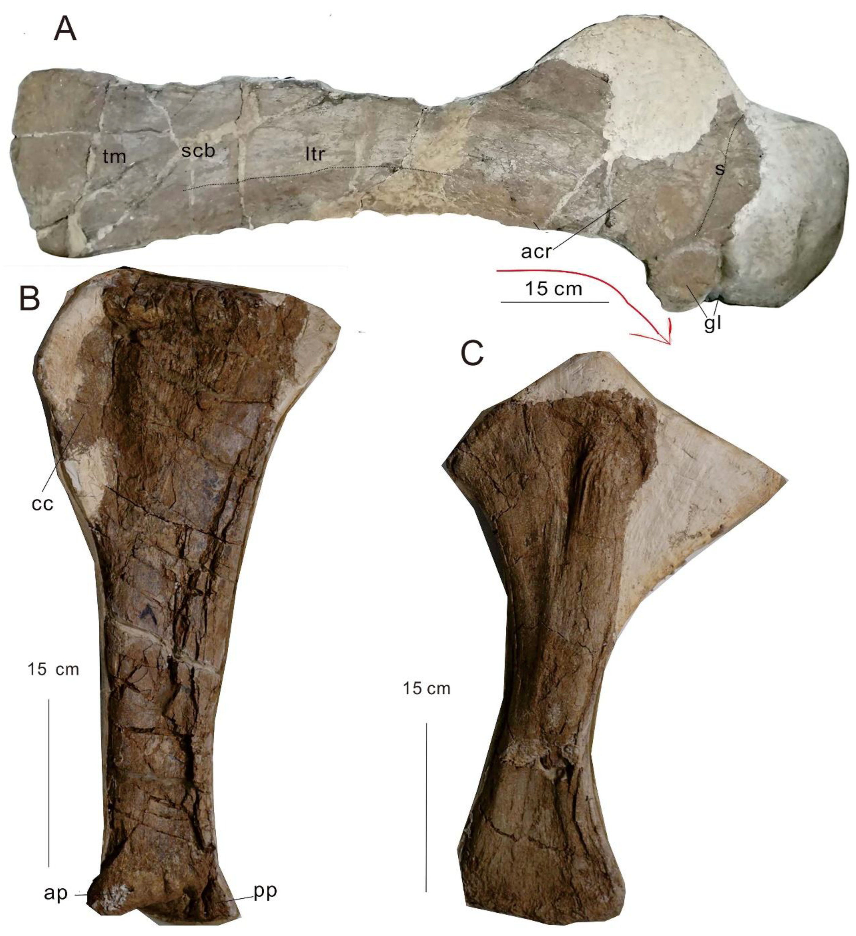 Preprints 150995 g003