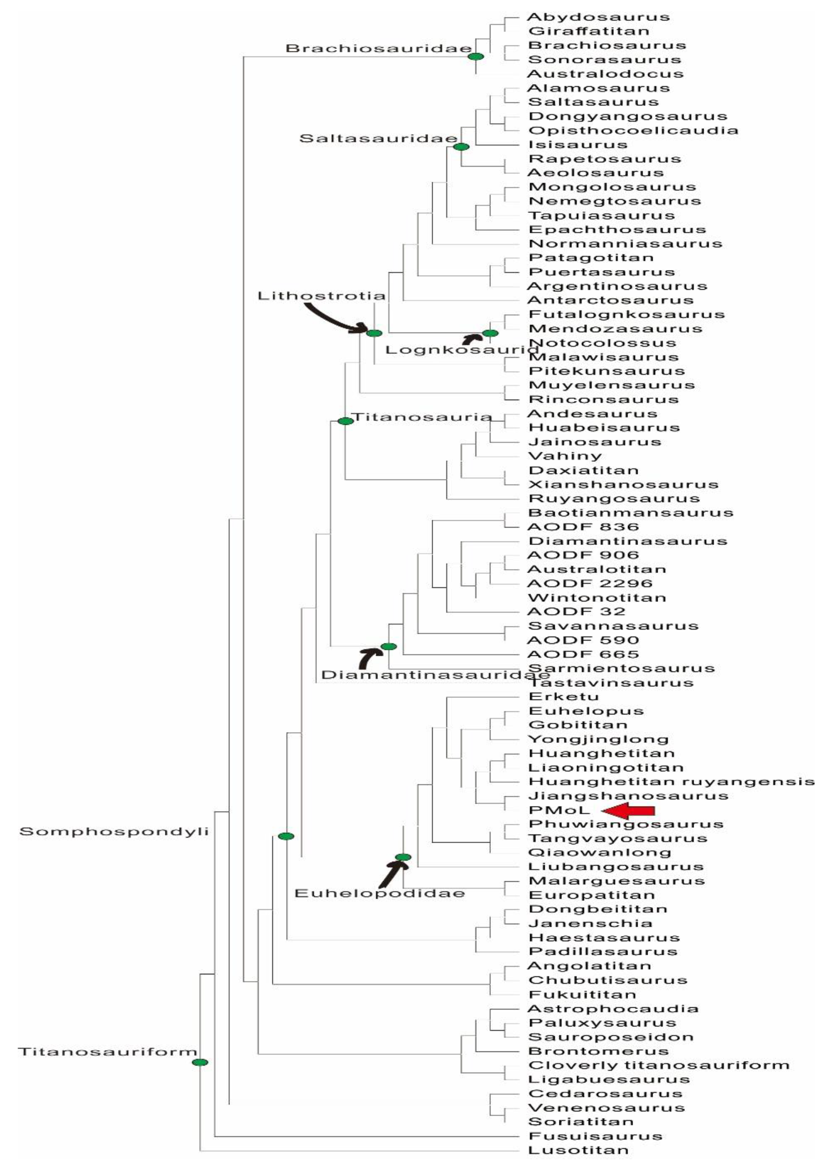 Preprints 150995 g004