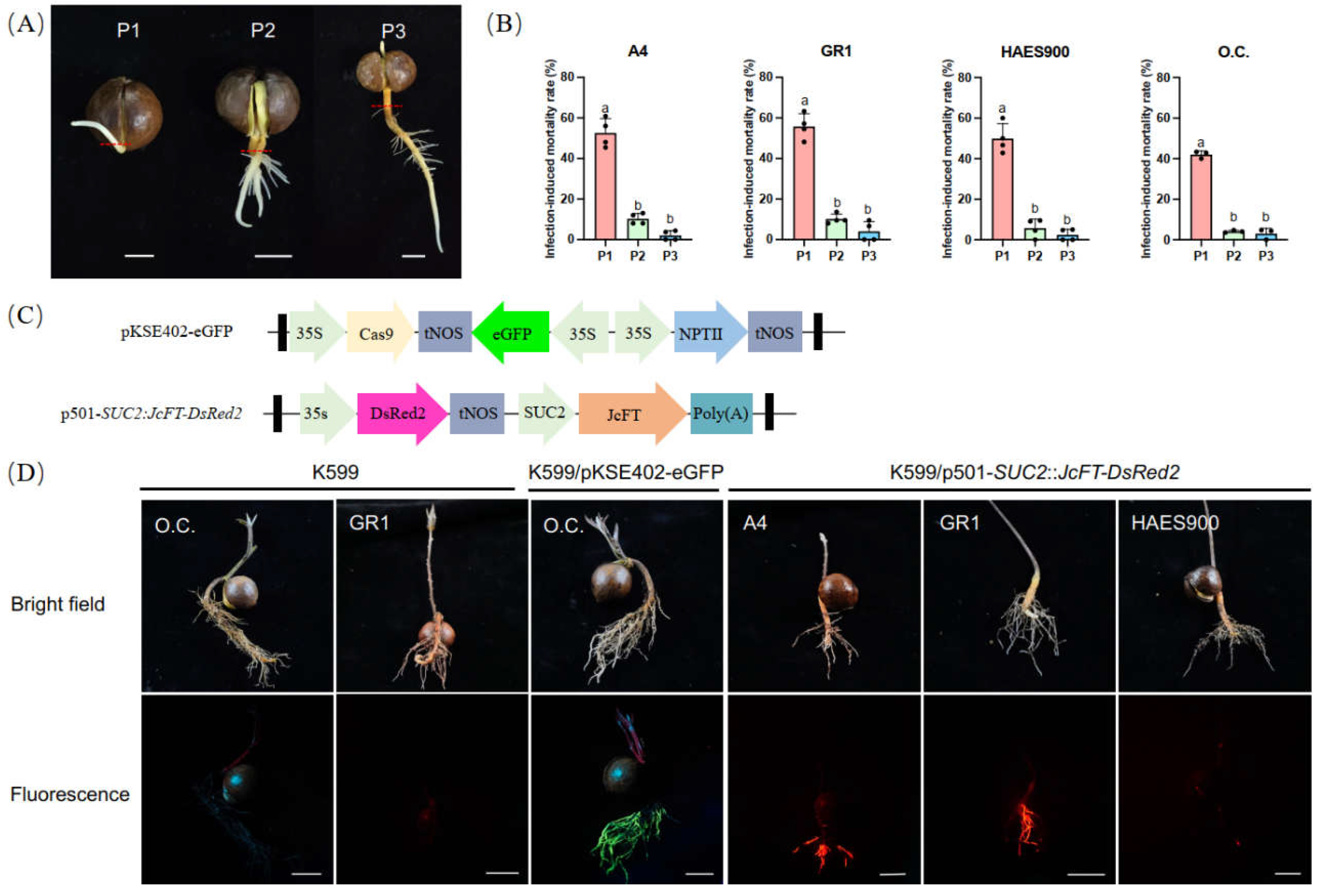 Preprints 220894 g001 Preprints 220894 g001