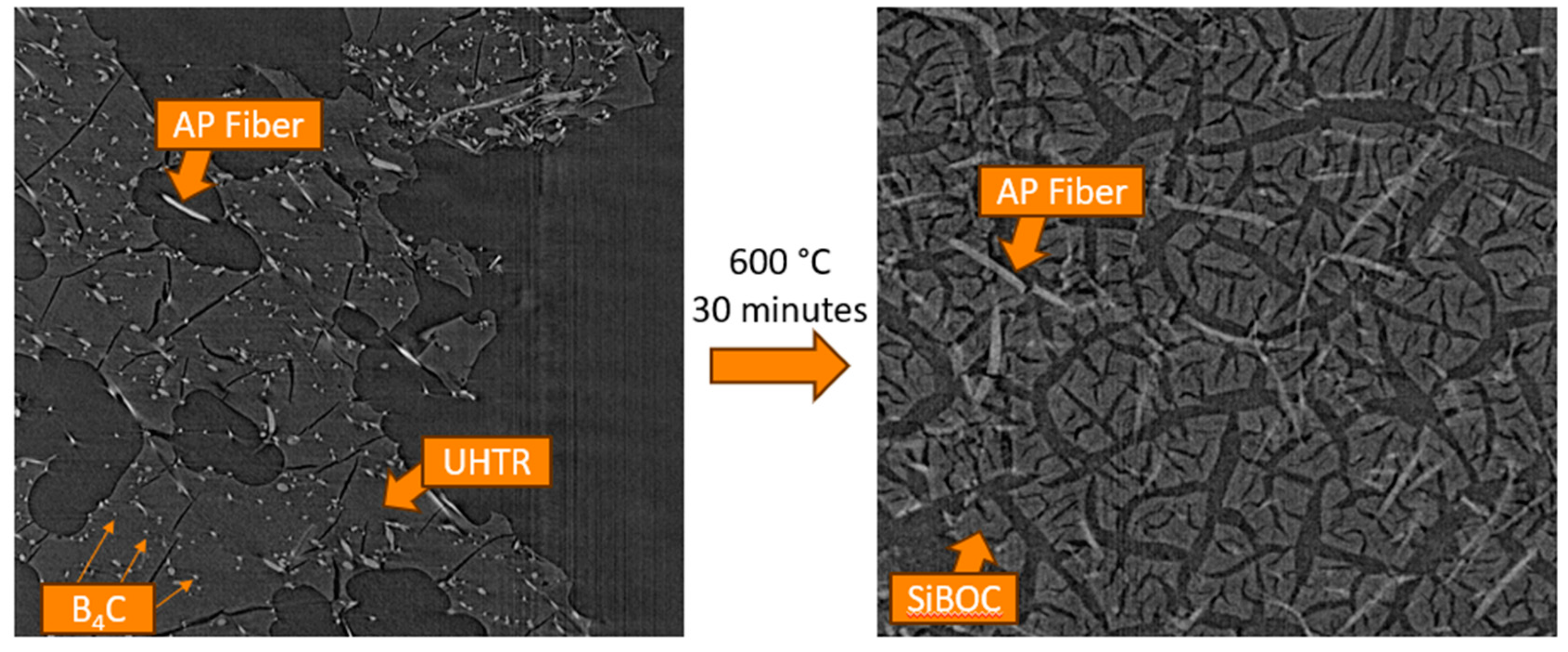 Preprints 114965 g011