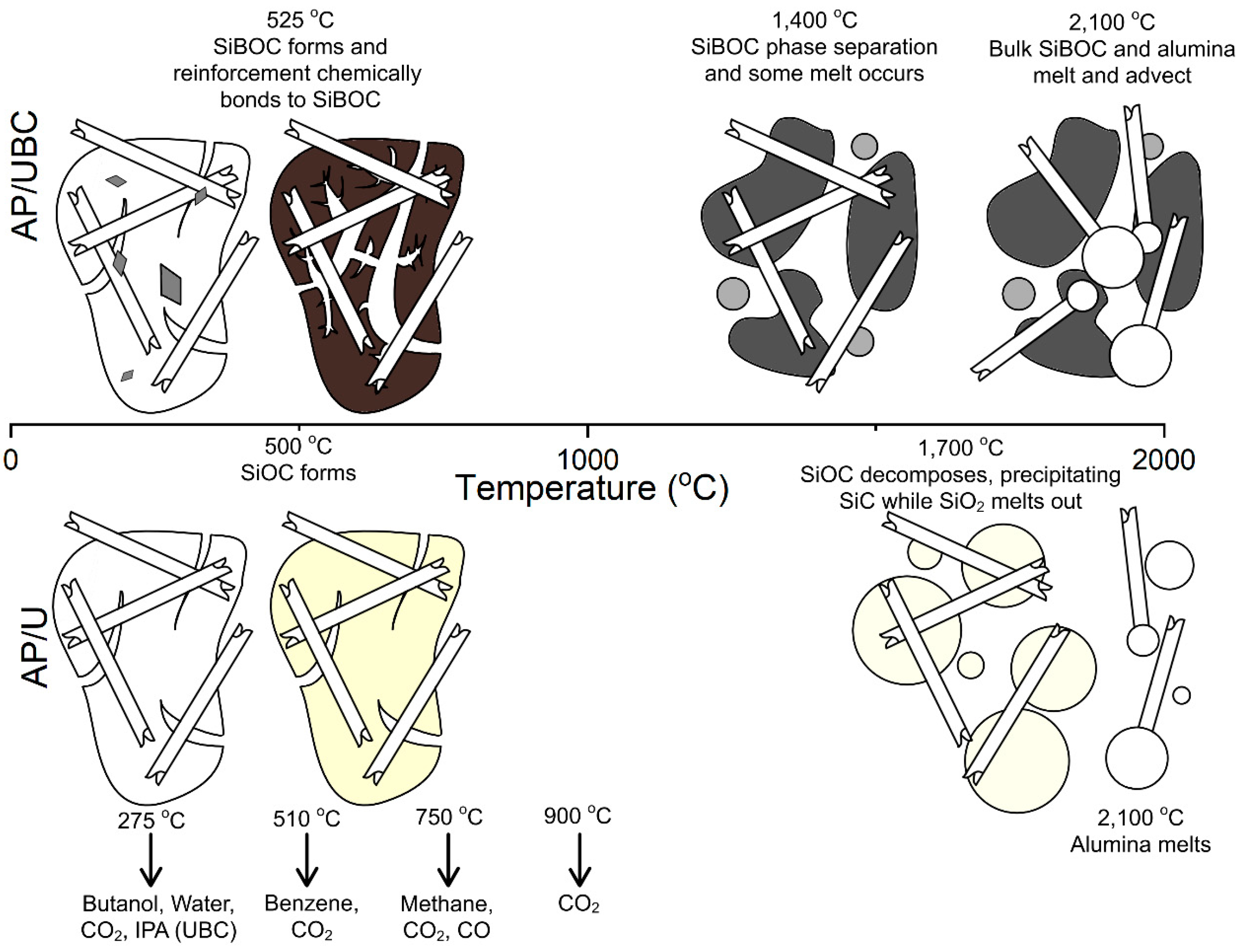 Preprints 114965 g012