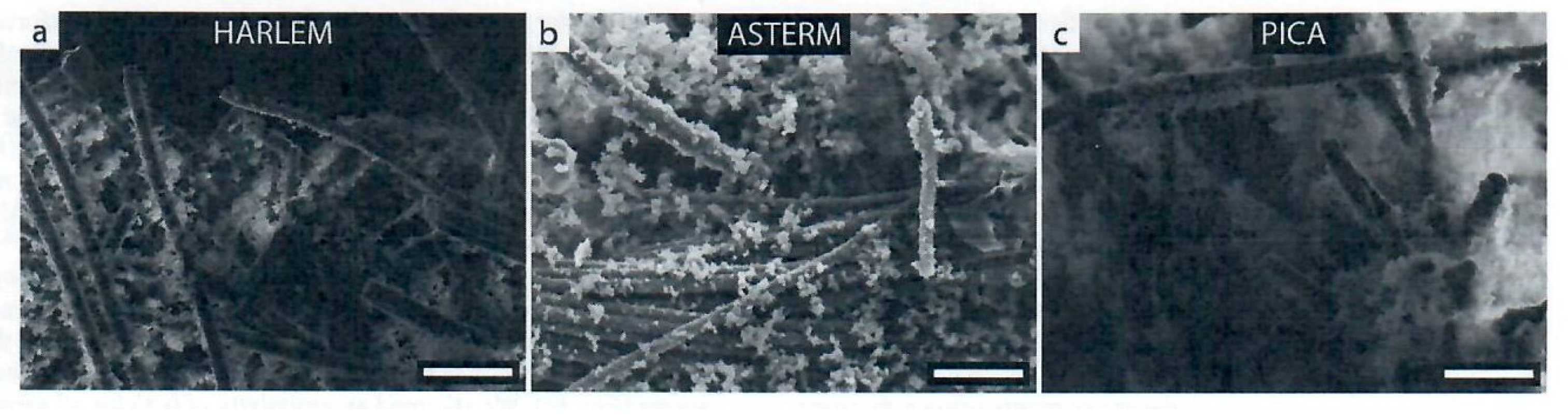 Preprints 114965 g016