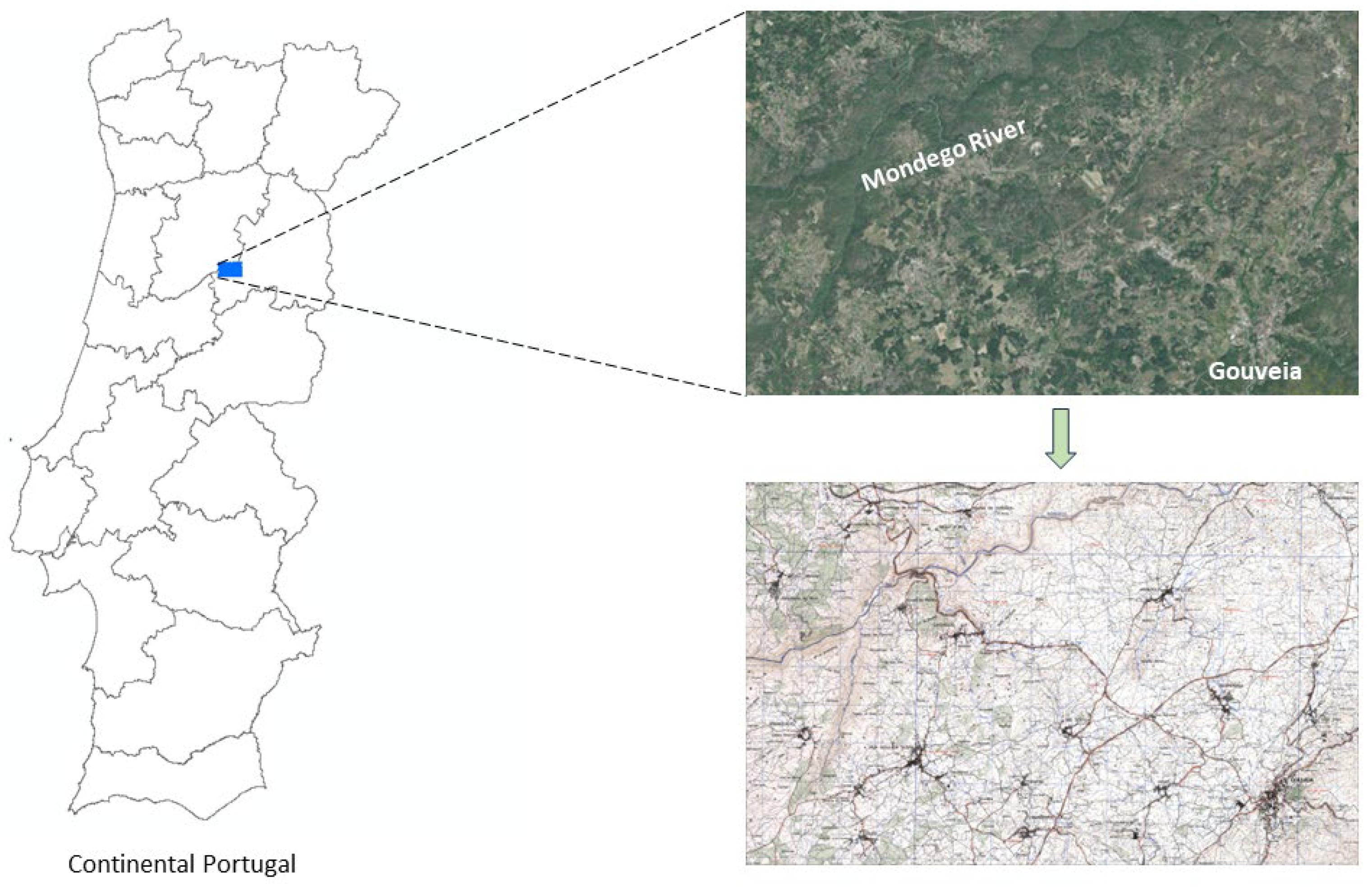 Preprints 108349 g001