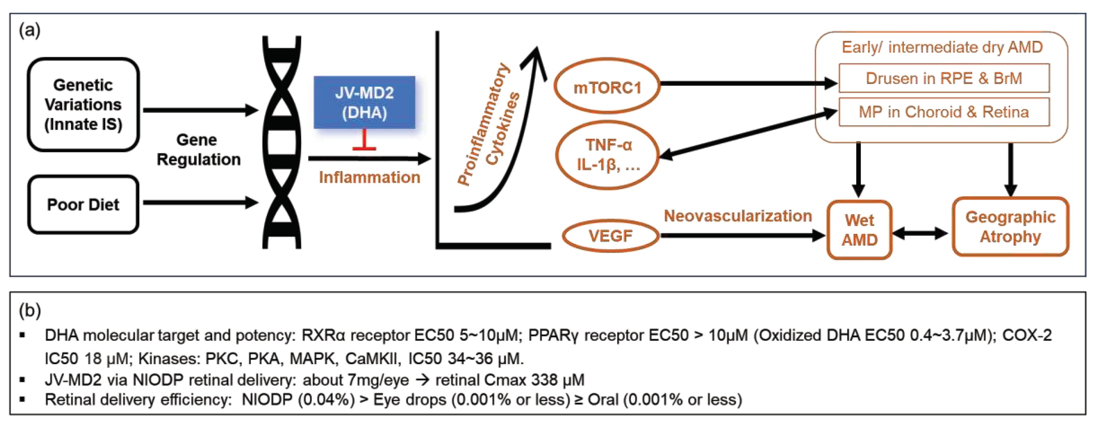 Preprints 82253 g005