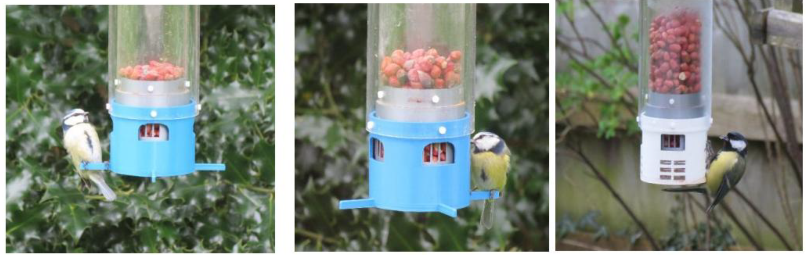 Preprints 193325 g004