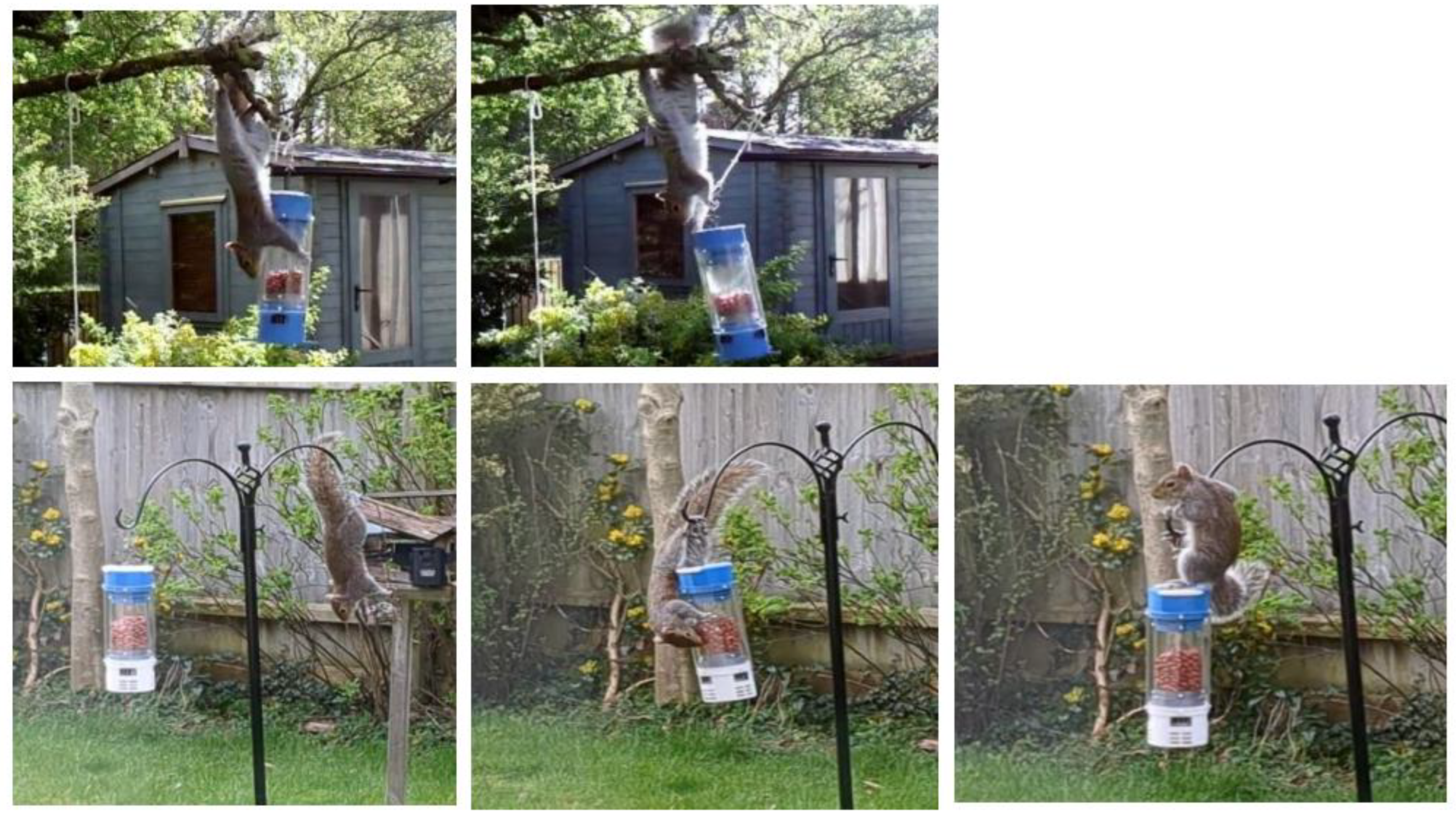 Preprints 193325 g005