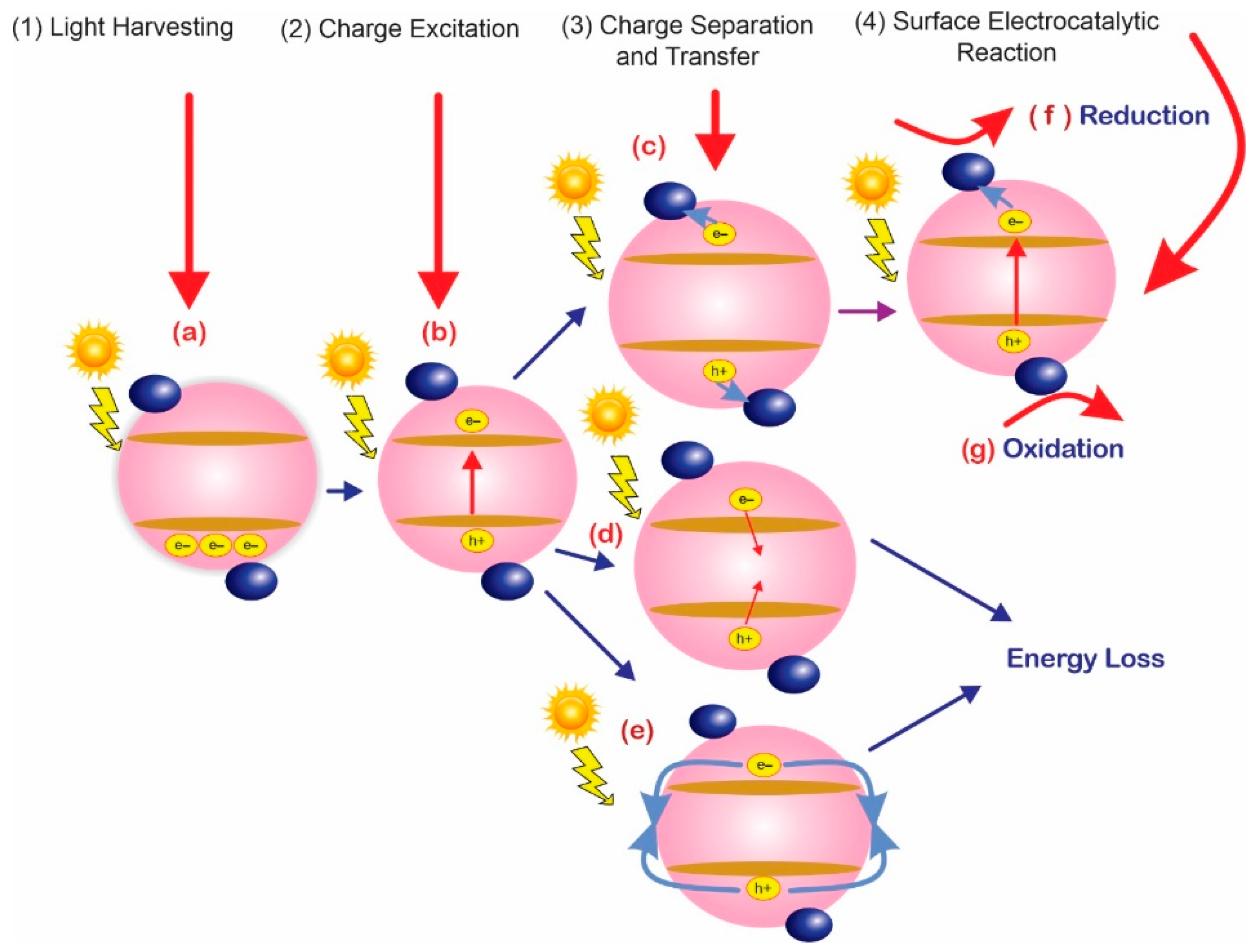 ④ 専用ページ Catalyst Design for Photocatalytic CO2 Reduction: Recent Advances