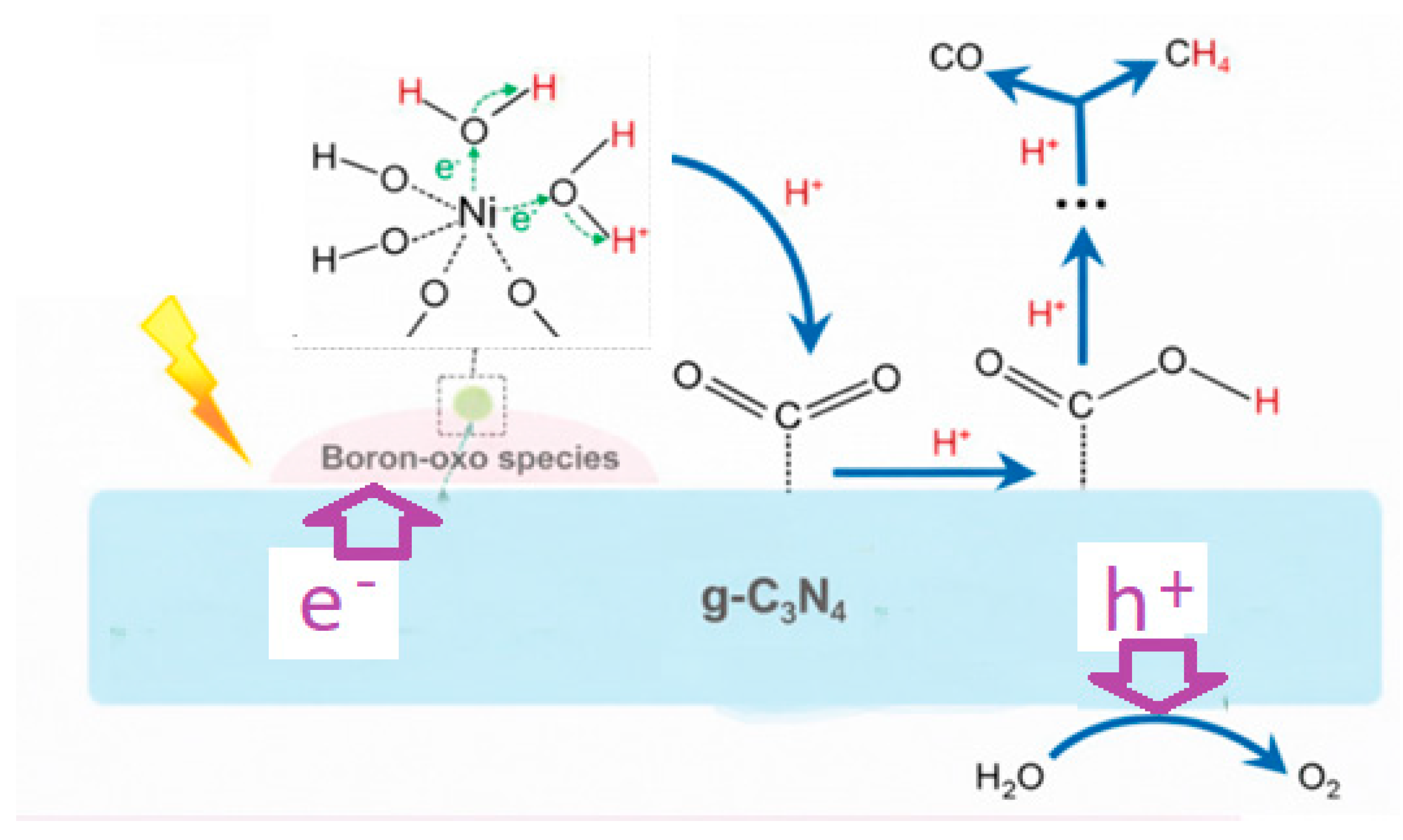 Catalyst Design for Photocatalytic CO2 Reduction: Recent Advances
