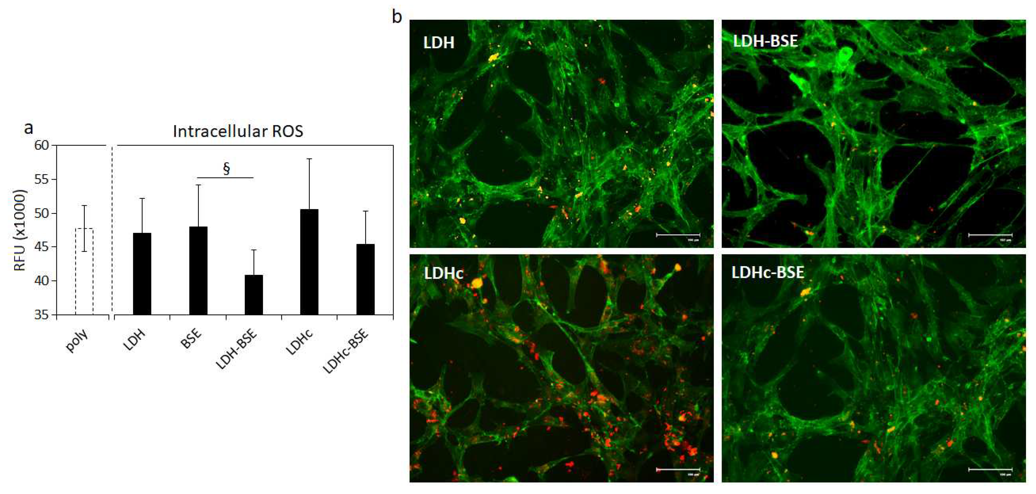 Preprints 80199 g007