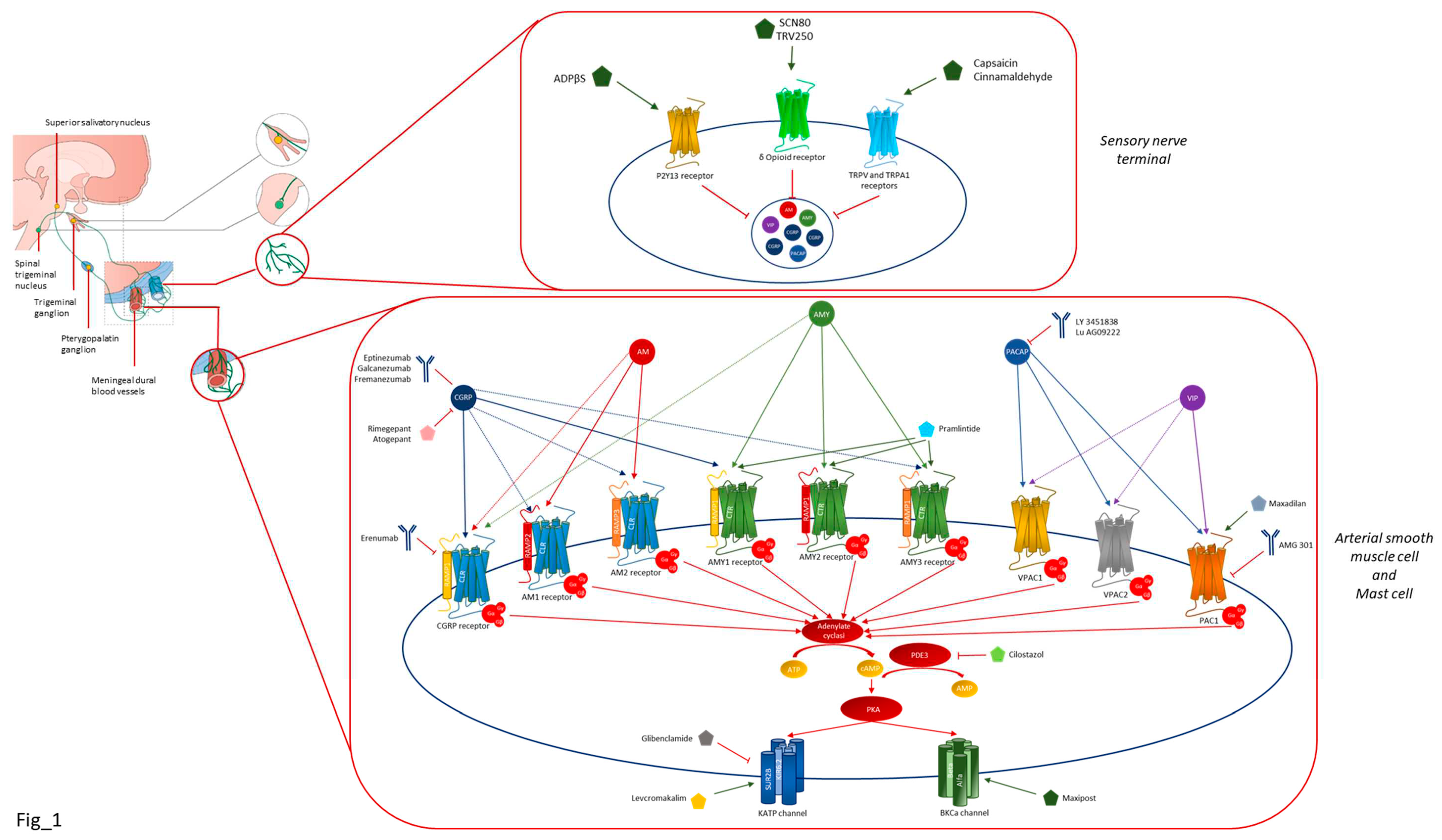Preprints 78374 g001