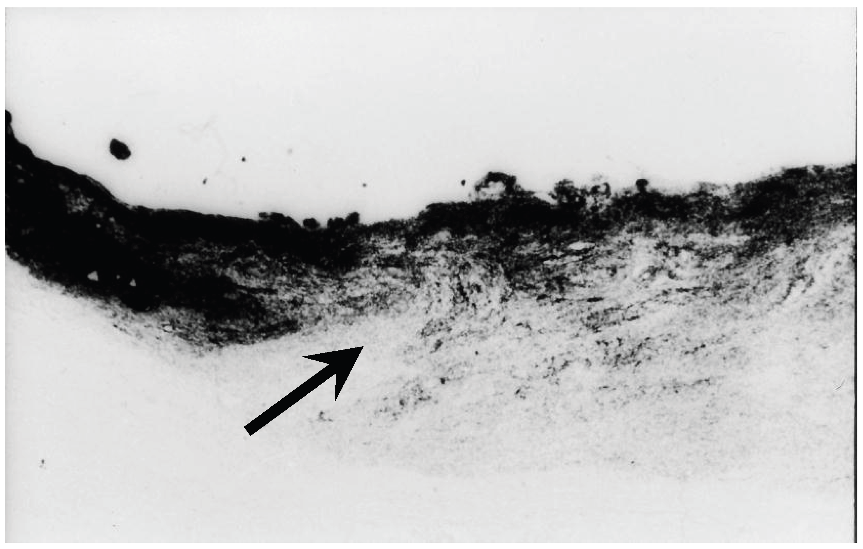 Preprints 194120 g001