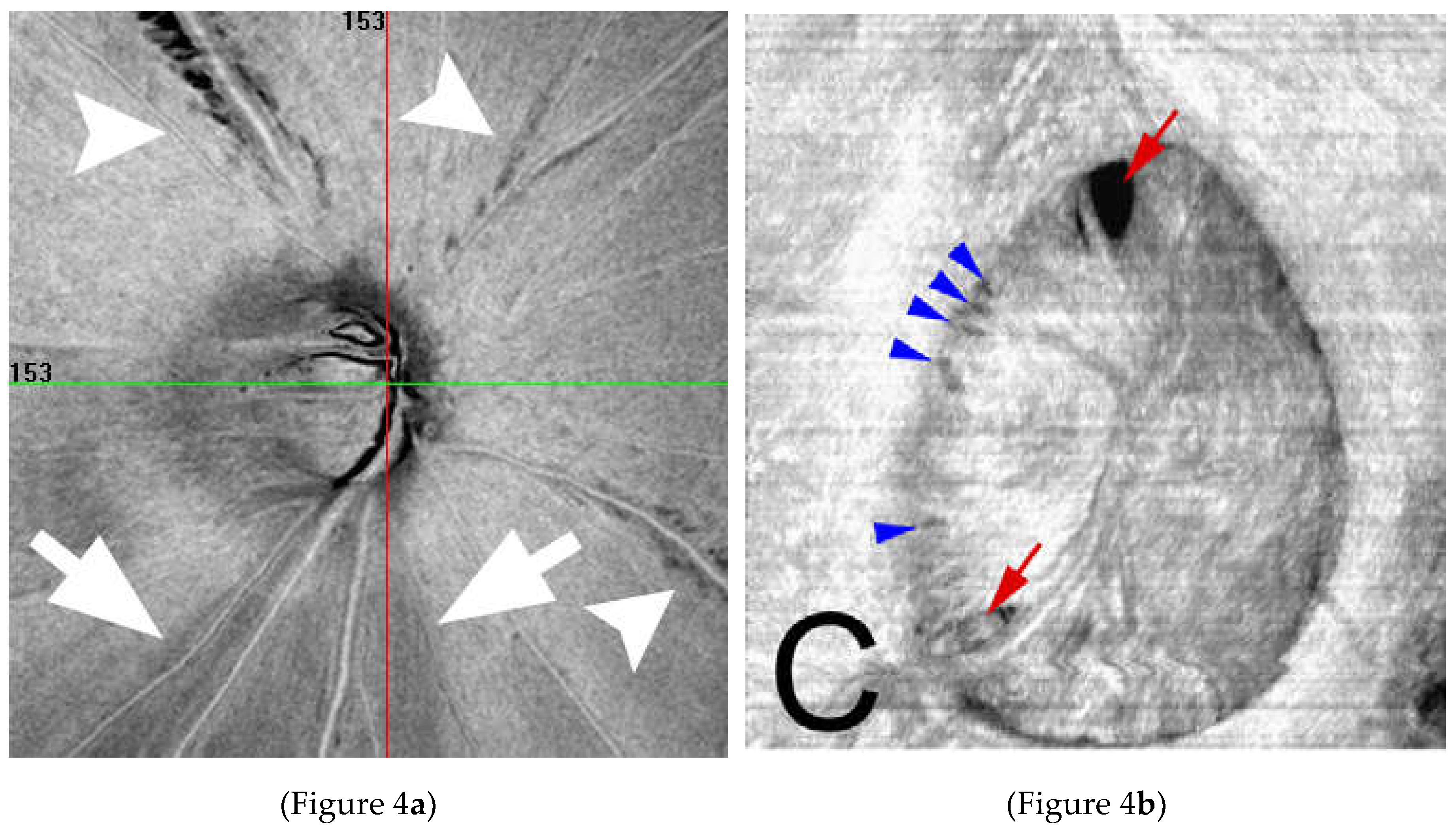 Preprints 194120 g004