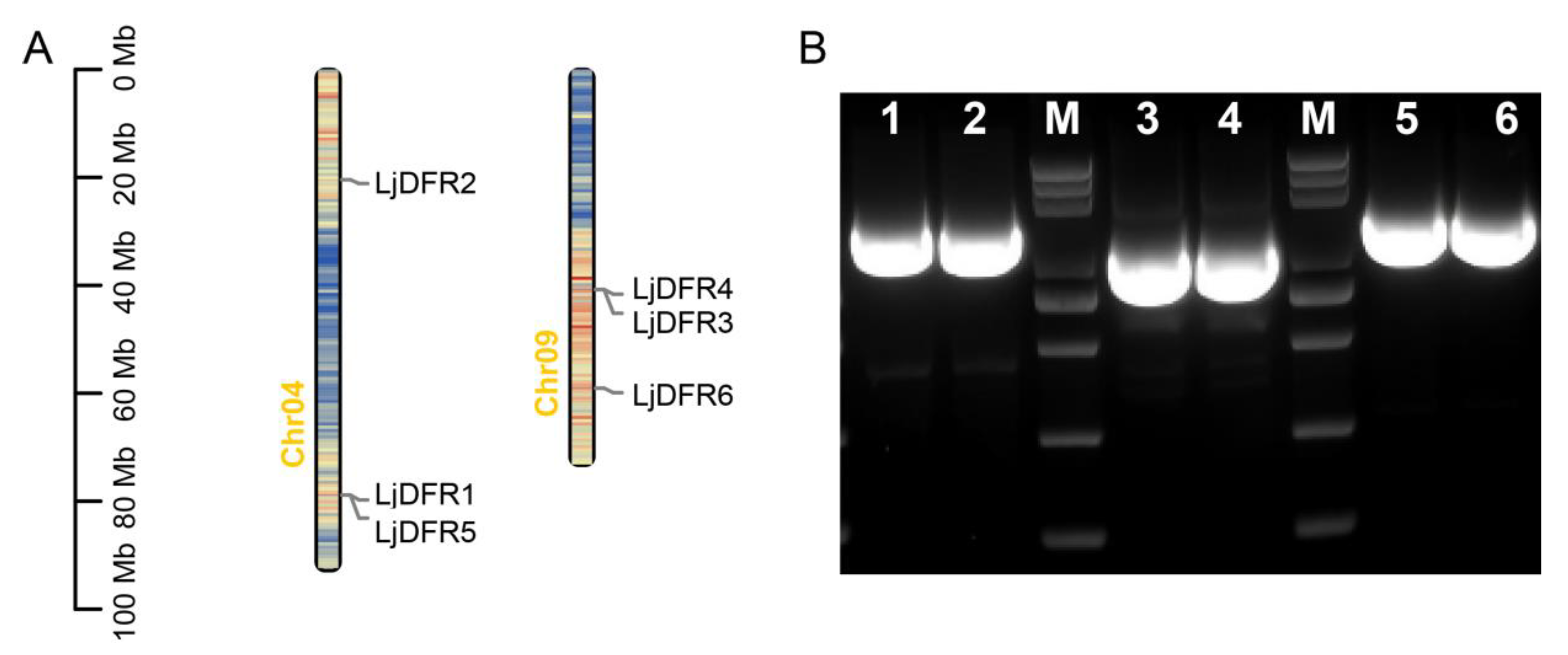 Preprints 185799 g001