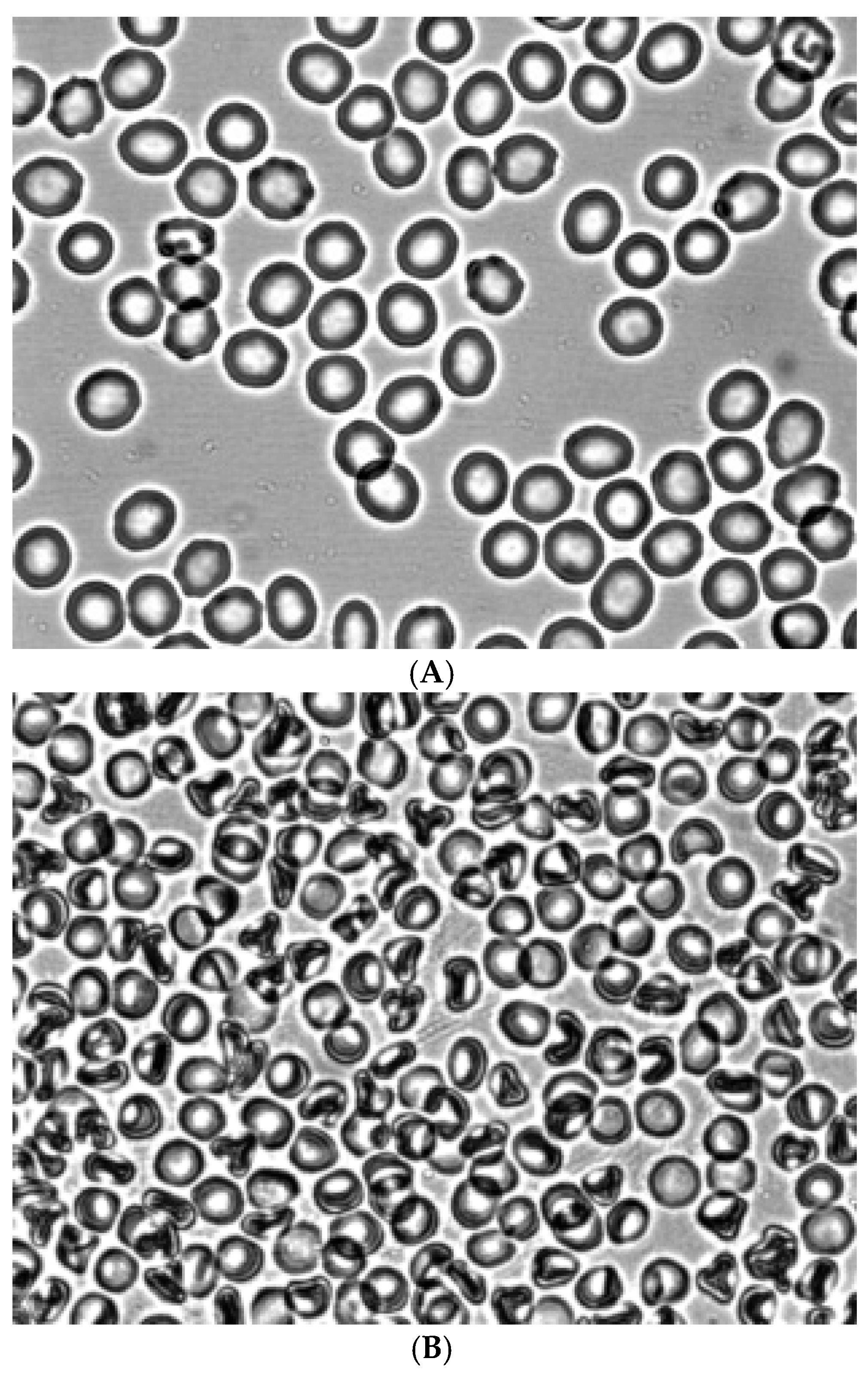 Preprints 173751 g002