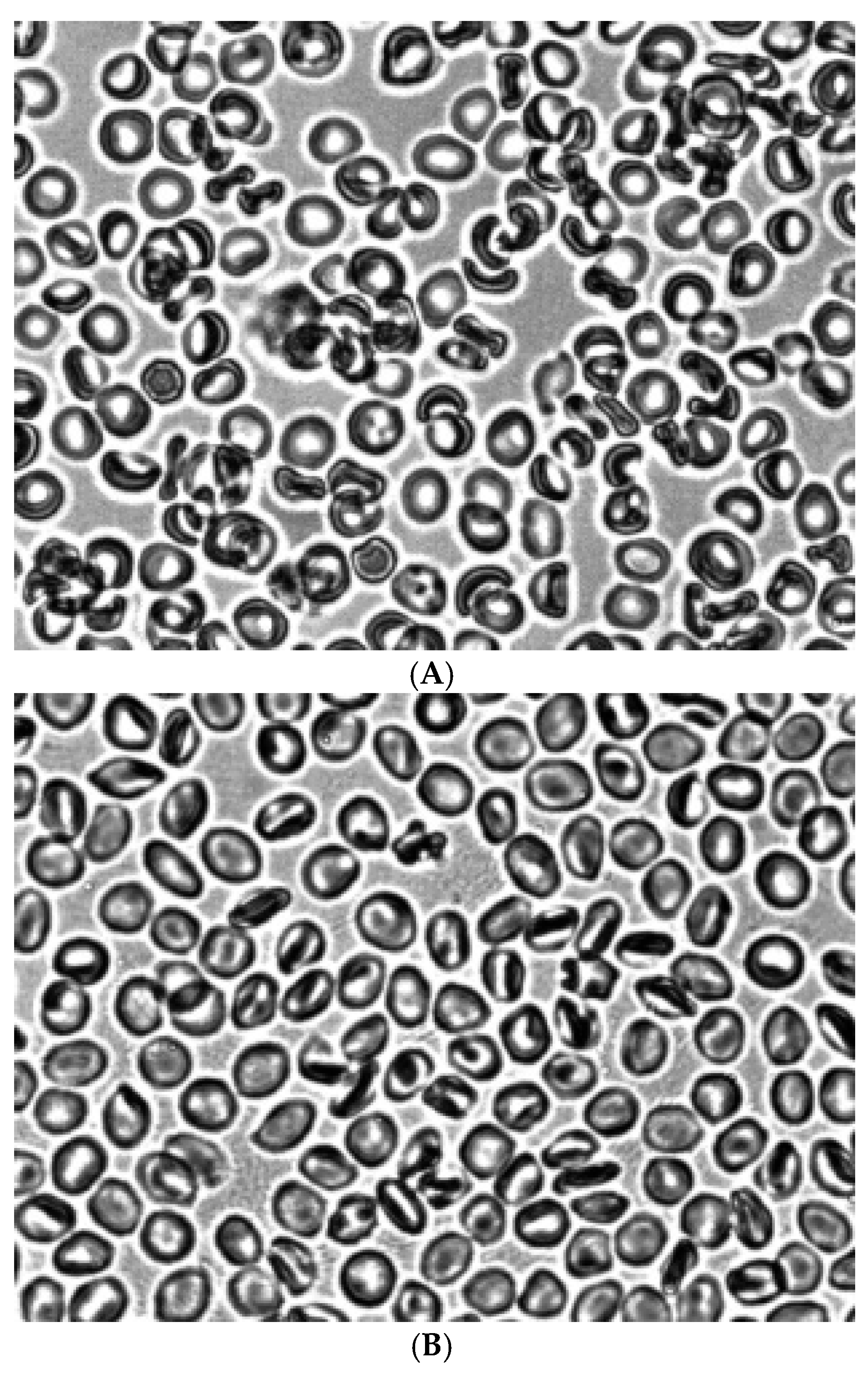 Preprints 173751 g003