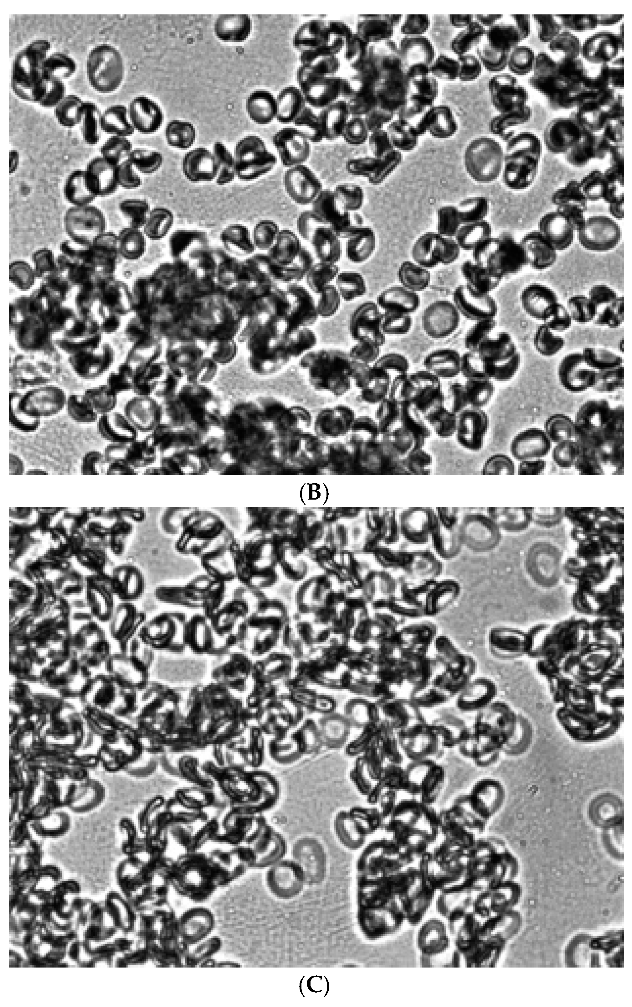 Preprints 173751 g004b