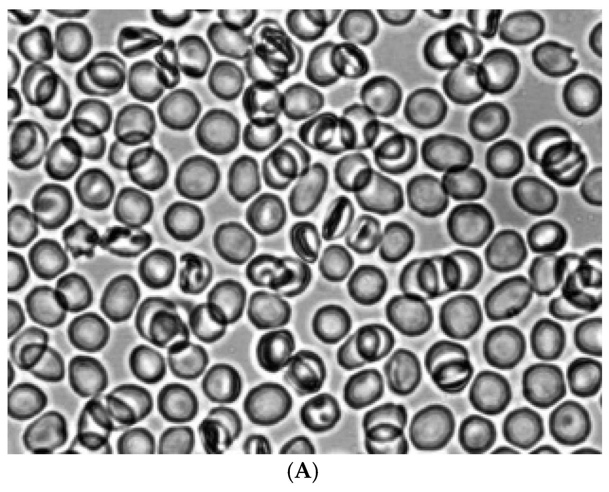 Preprints 173751 g006a