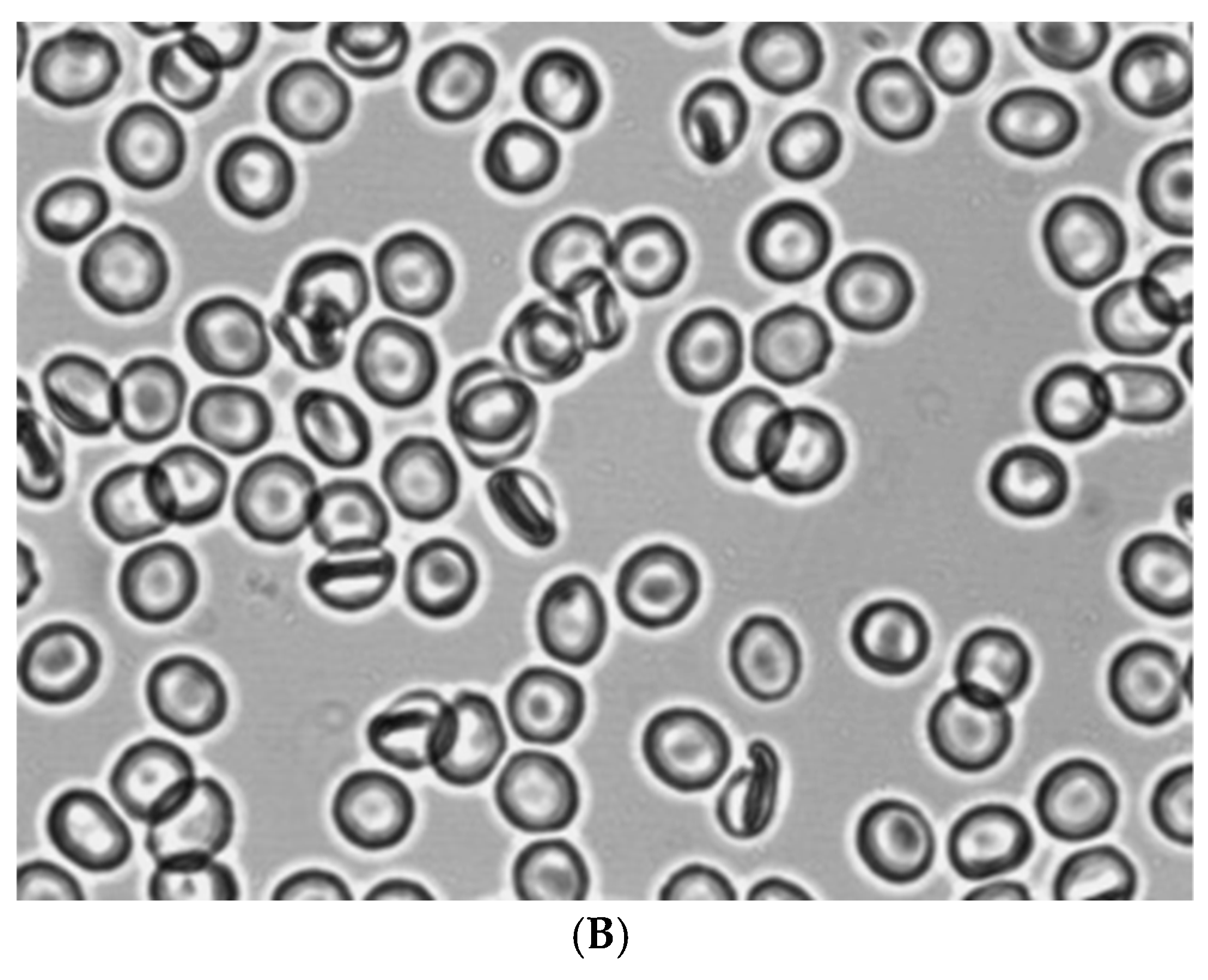 Preprints 173751 g006b