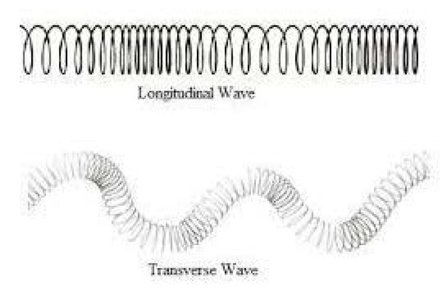 Preprints 173552 g003