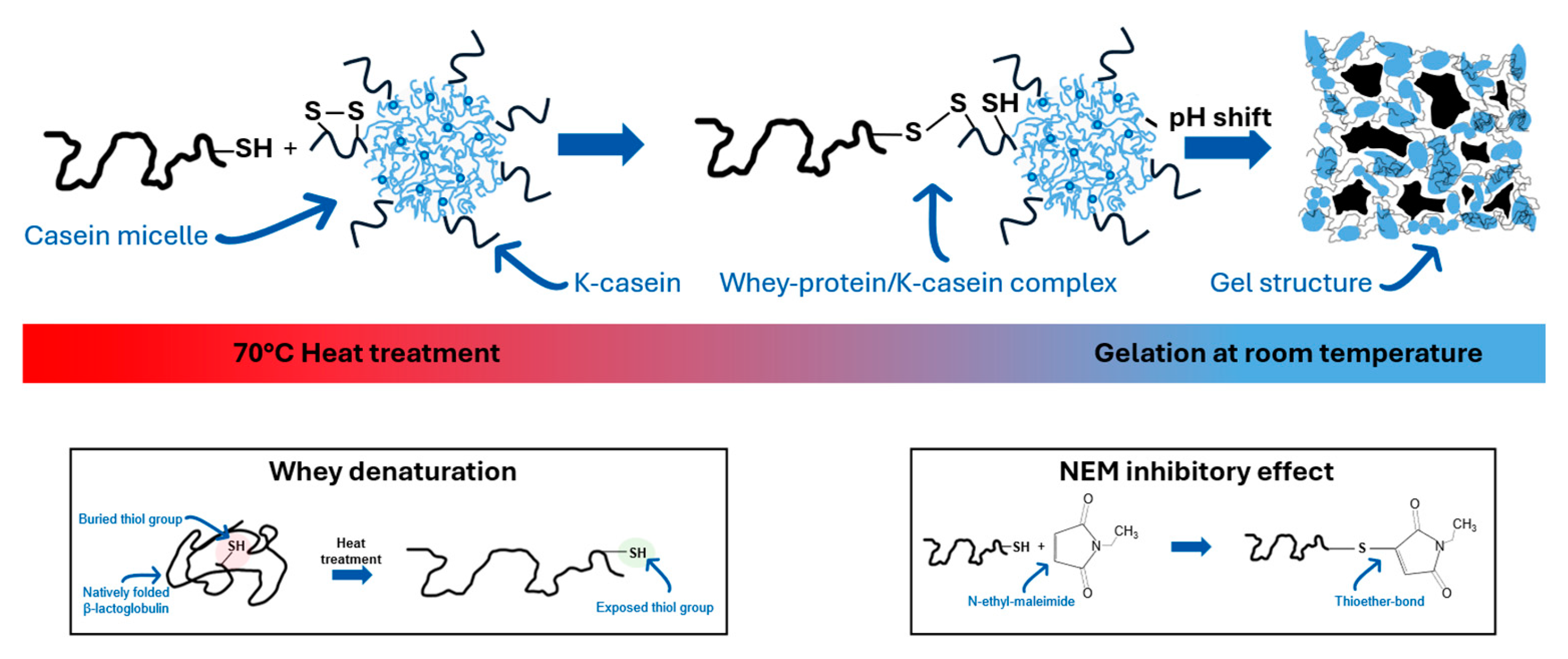 Preprints 158220 g001