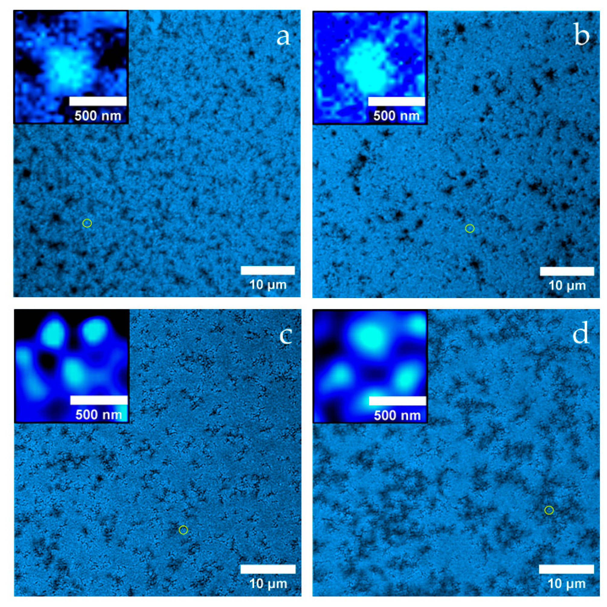 Preprints 158220 g003
