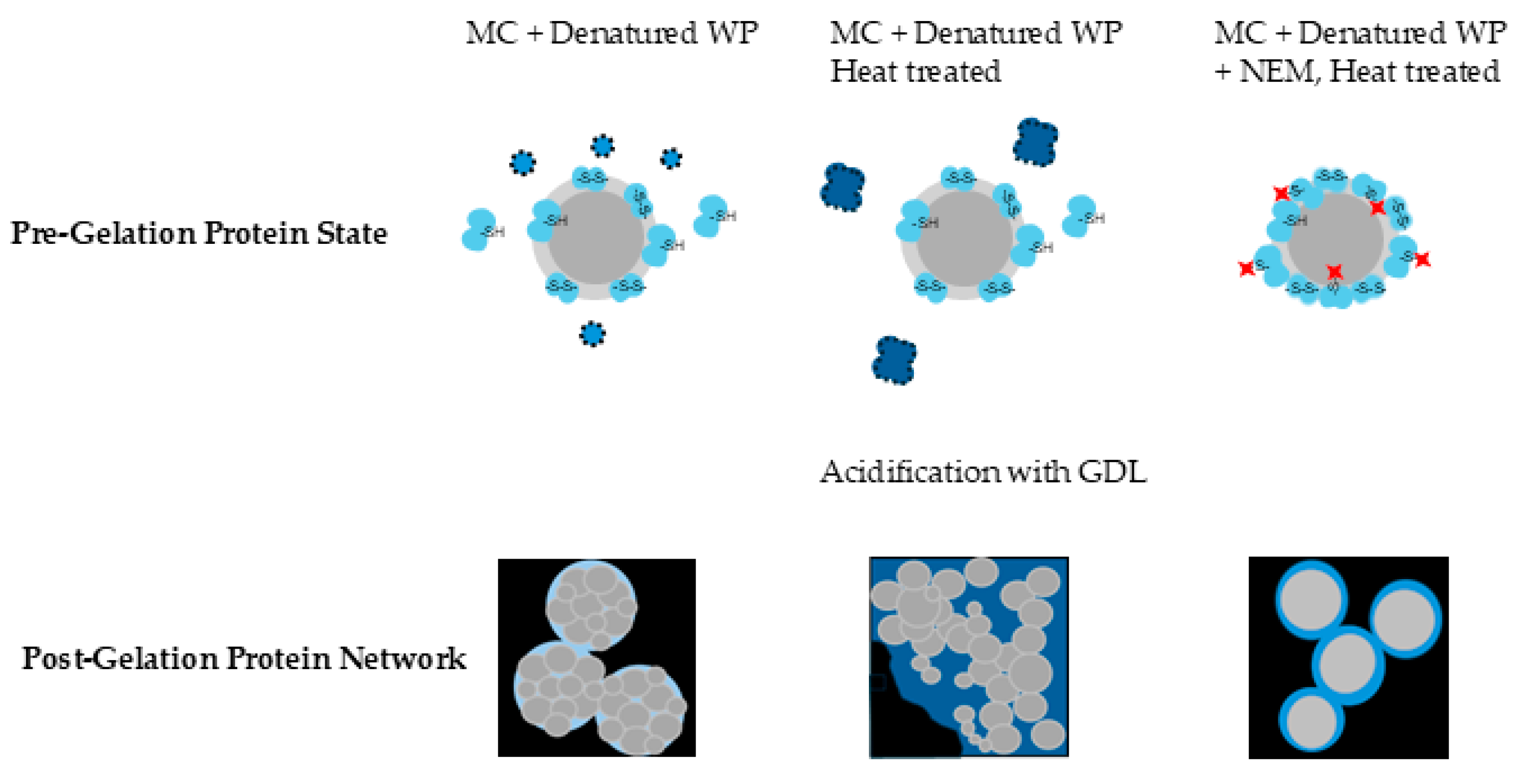 Preprints 158220 g007
