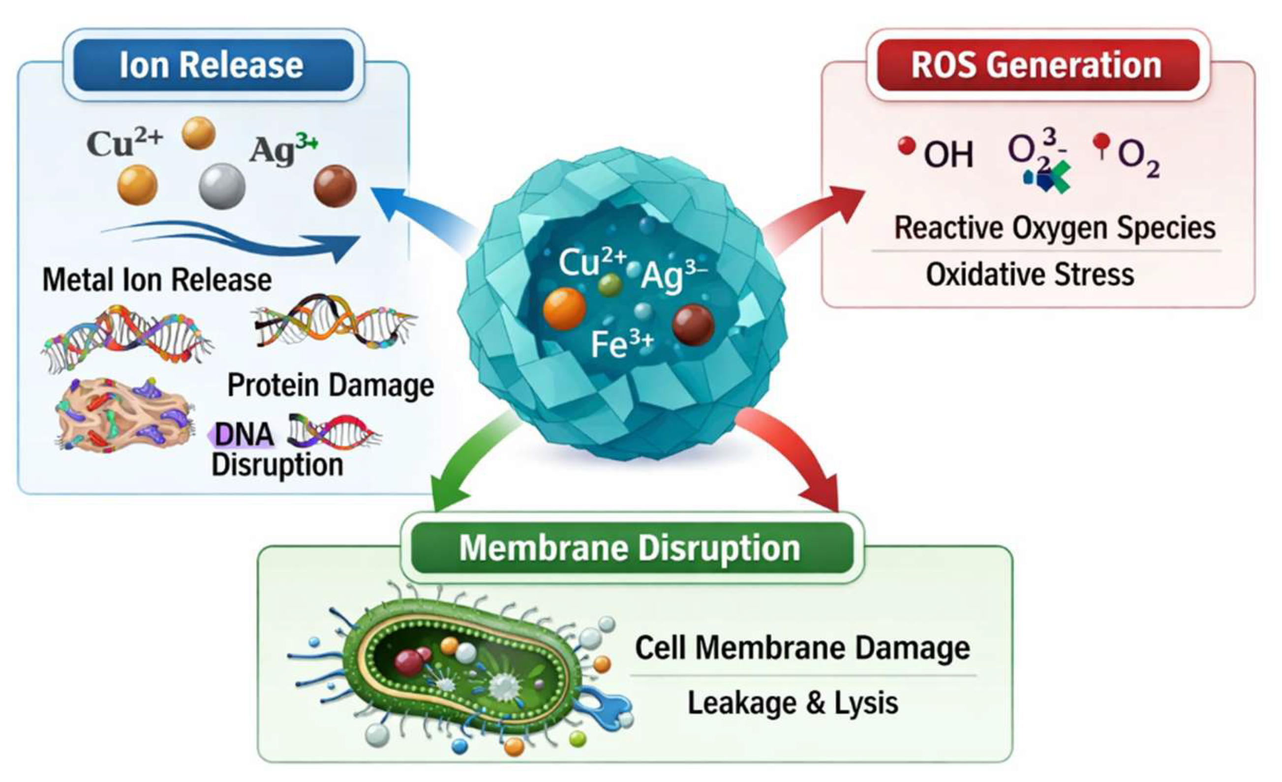 Preprints 200321 g003