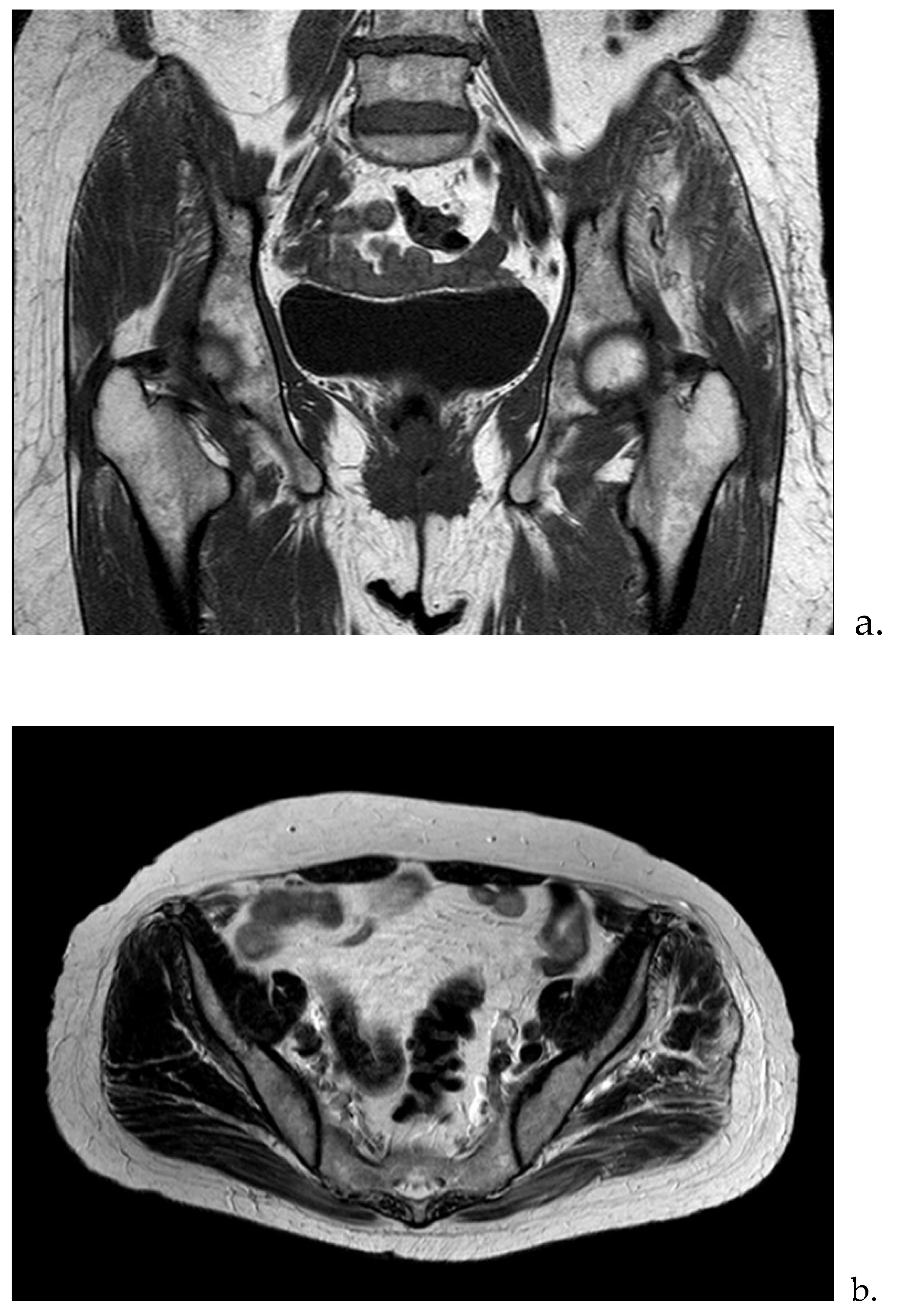 Preprints 148968 g001