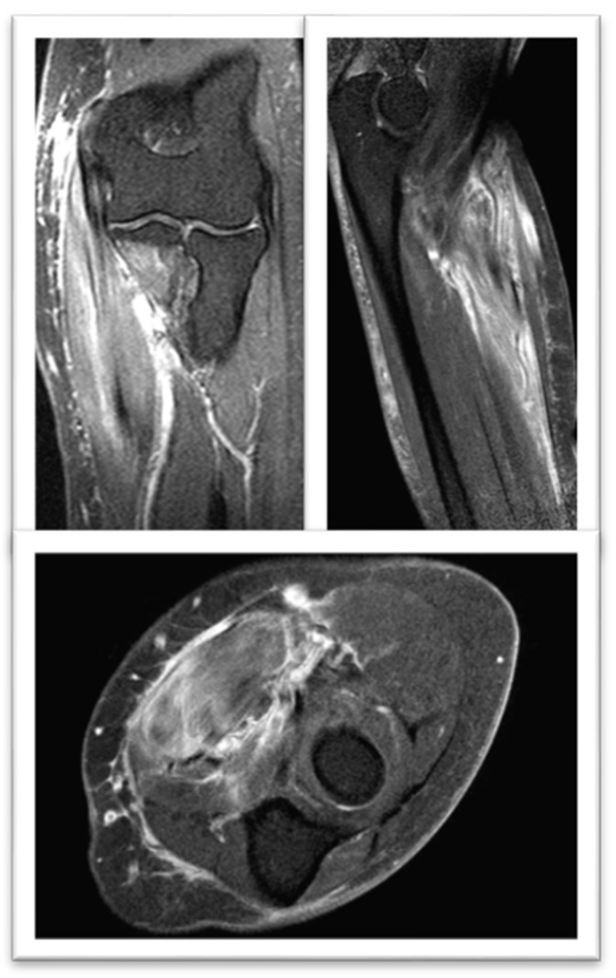 Preprints 148968 g002