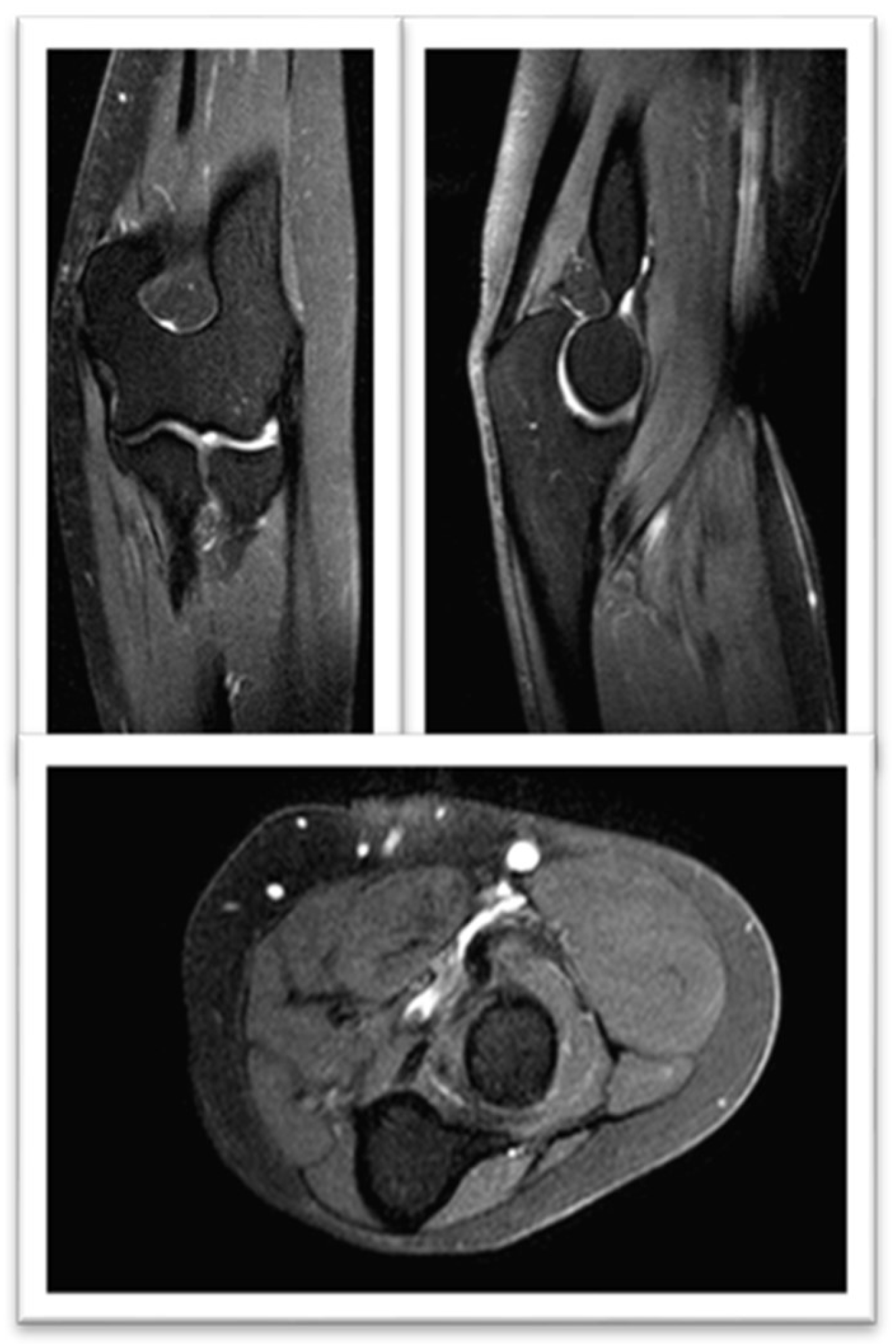 Preprints 148968 g003