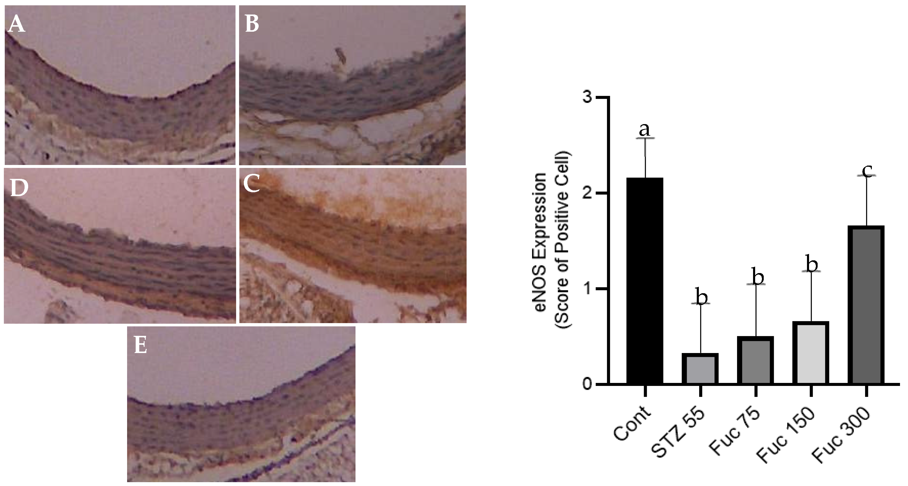 Preprints 122068 g006