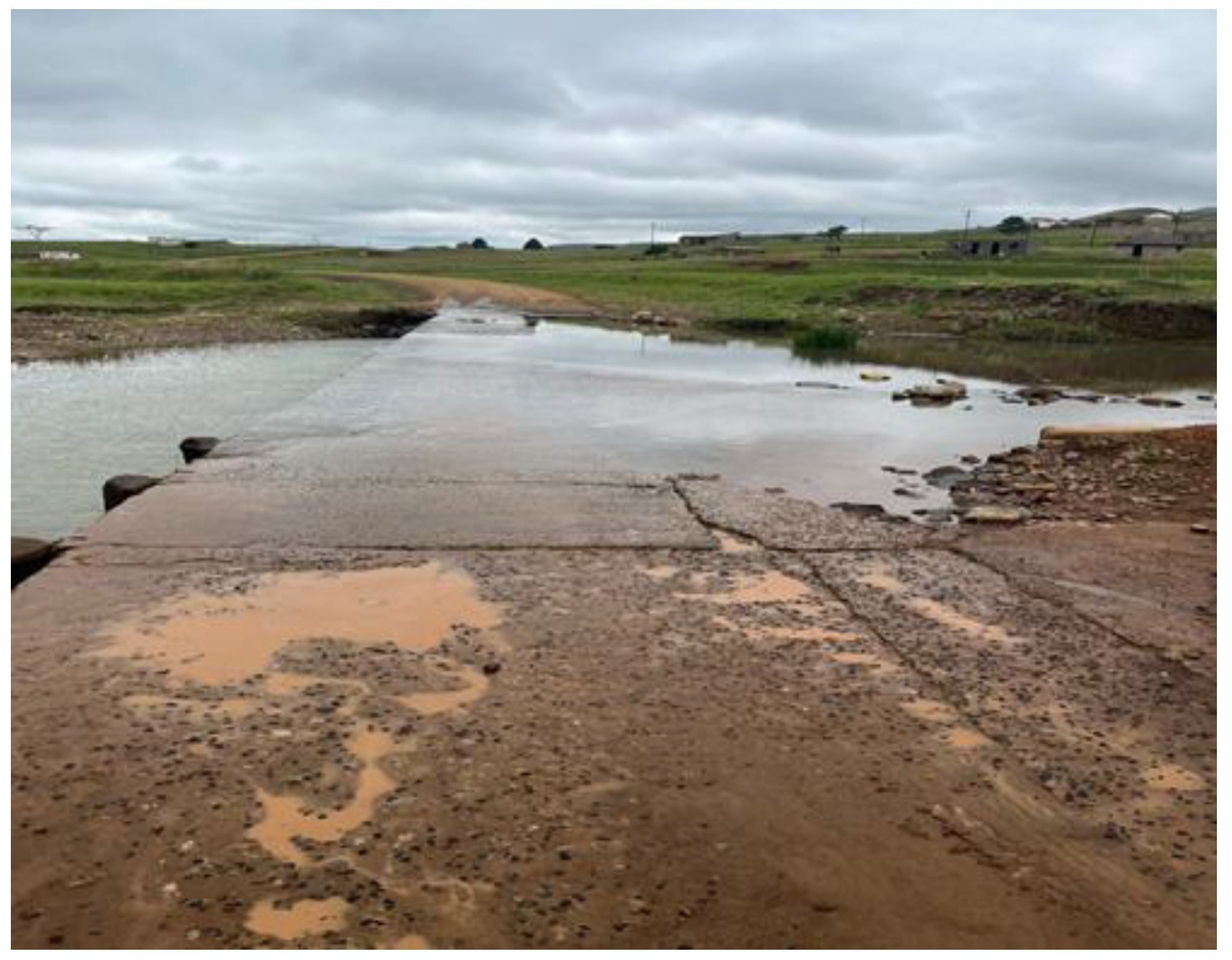 Preprints 156343 g003