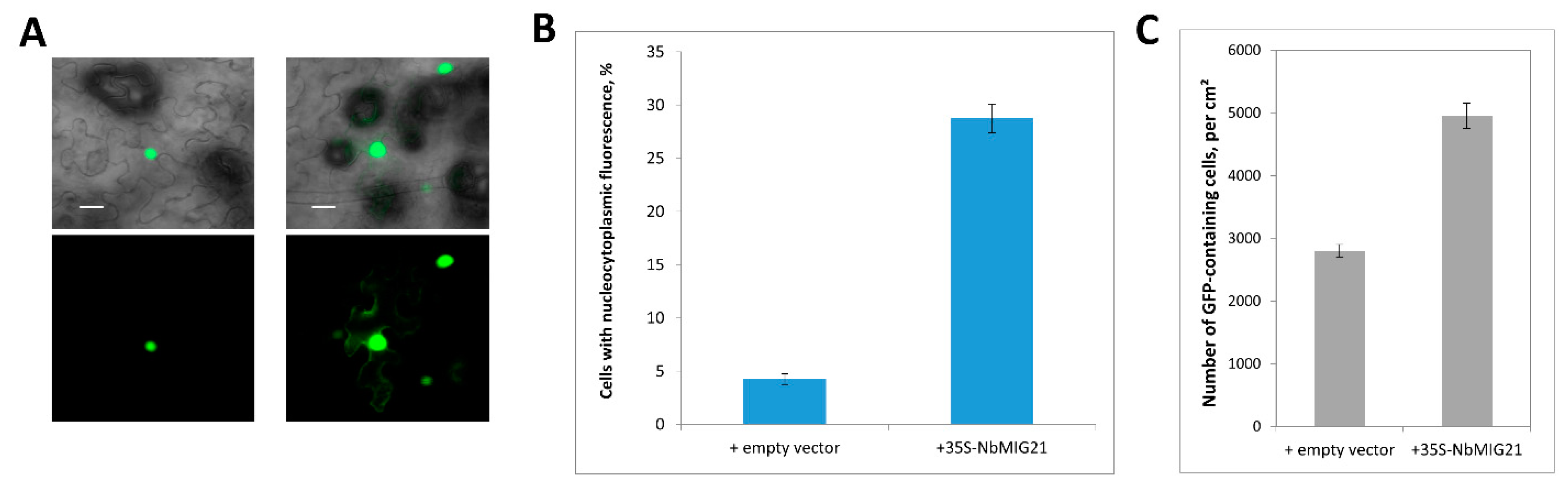 Preprints 93212 g006