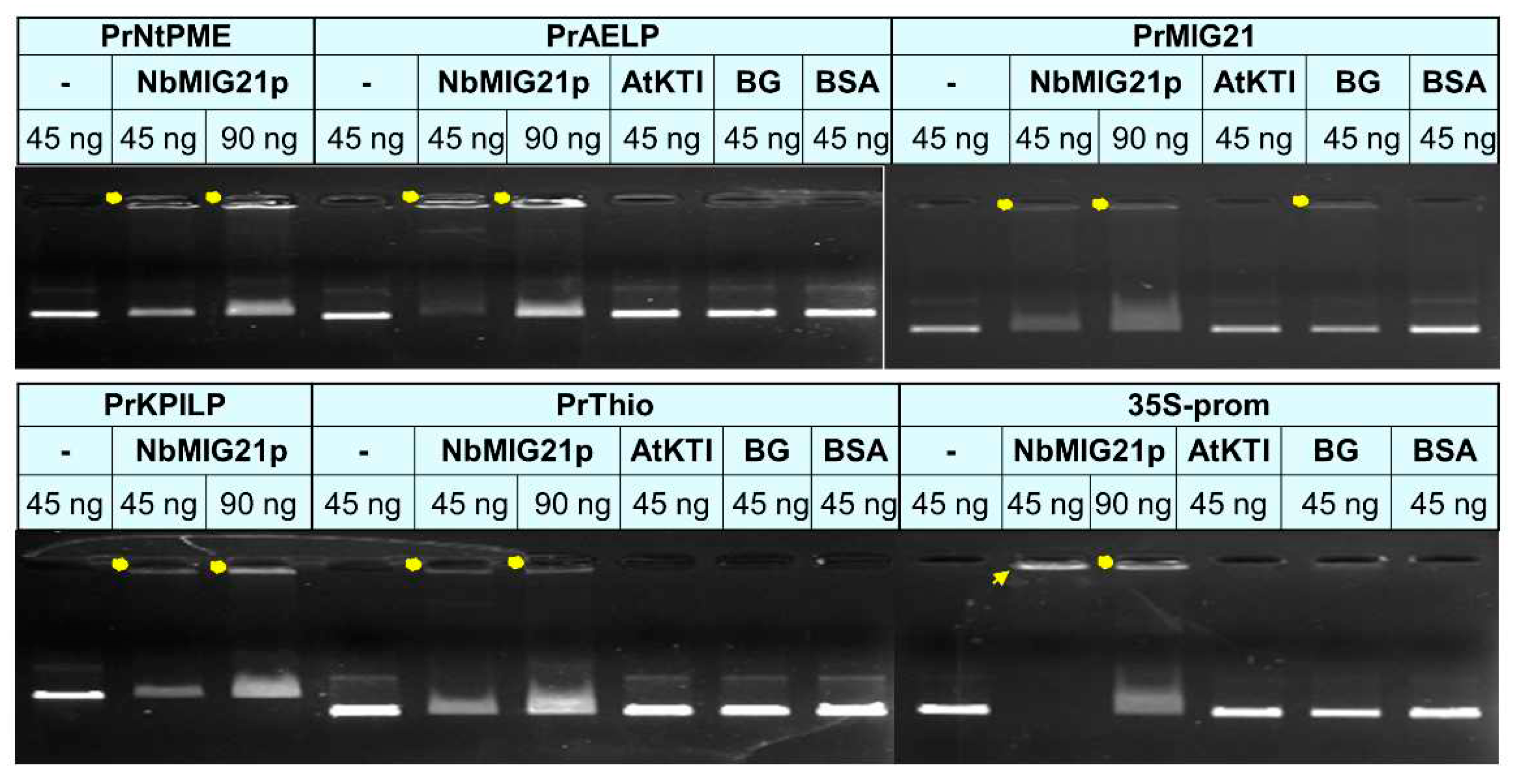 Preprints 93212 g010
