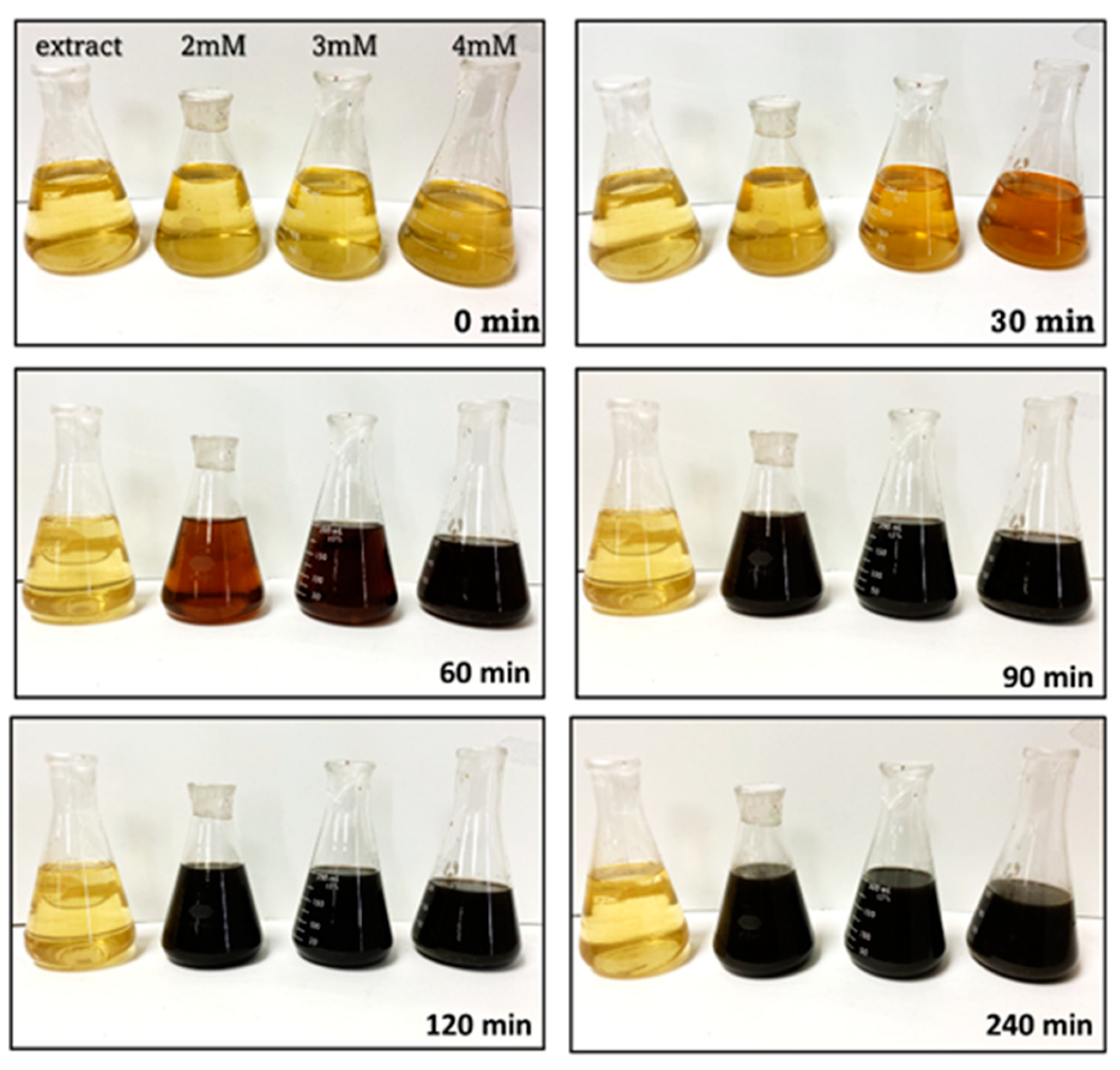 Preprints 109556 g001