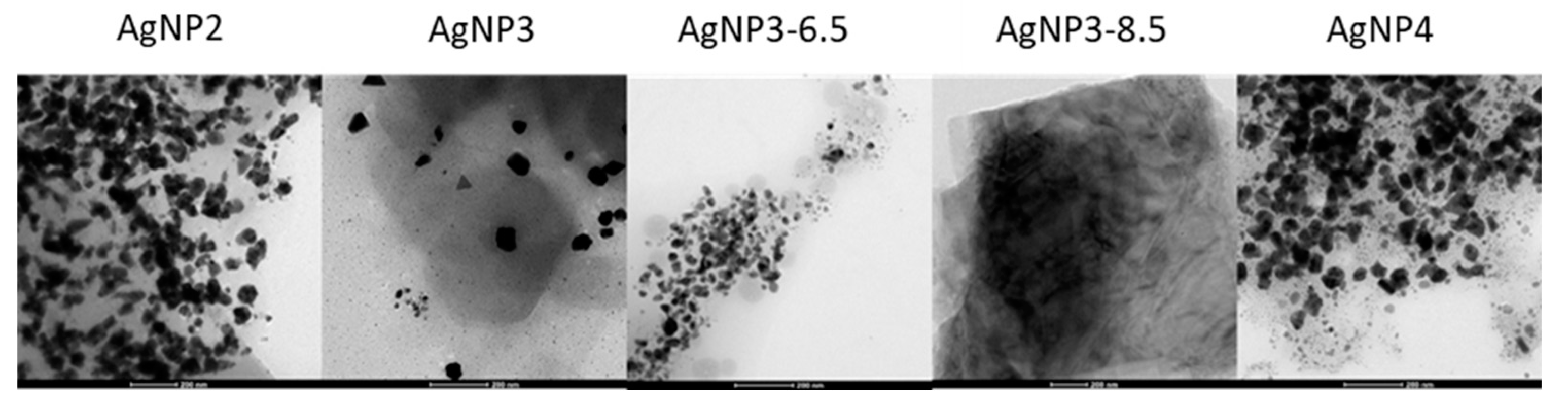Preprints 109556 g009