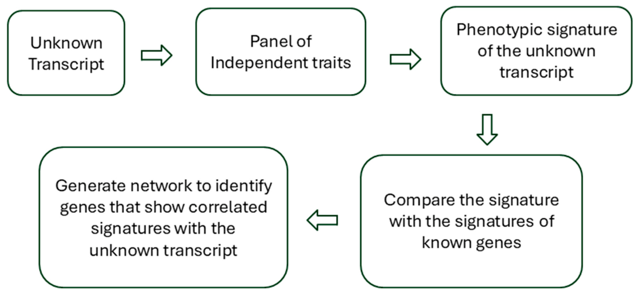 Preprints 227570 g001 Preprints 227570 g001
