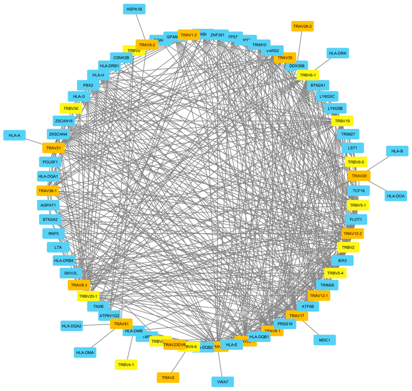 Preprints 227570 g003 Preprints 227570 g003
