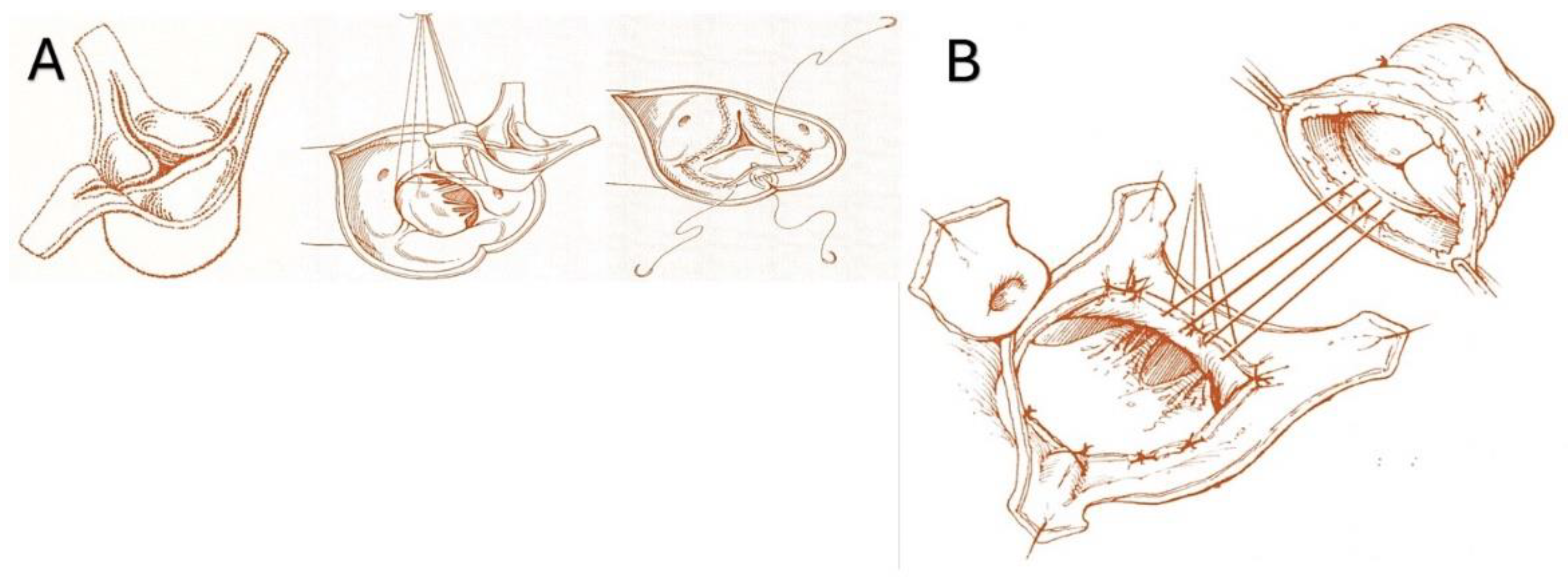 Preprints 118961 g003