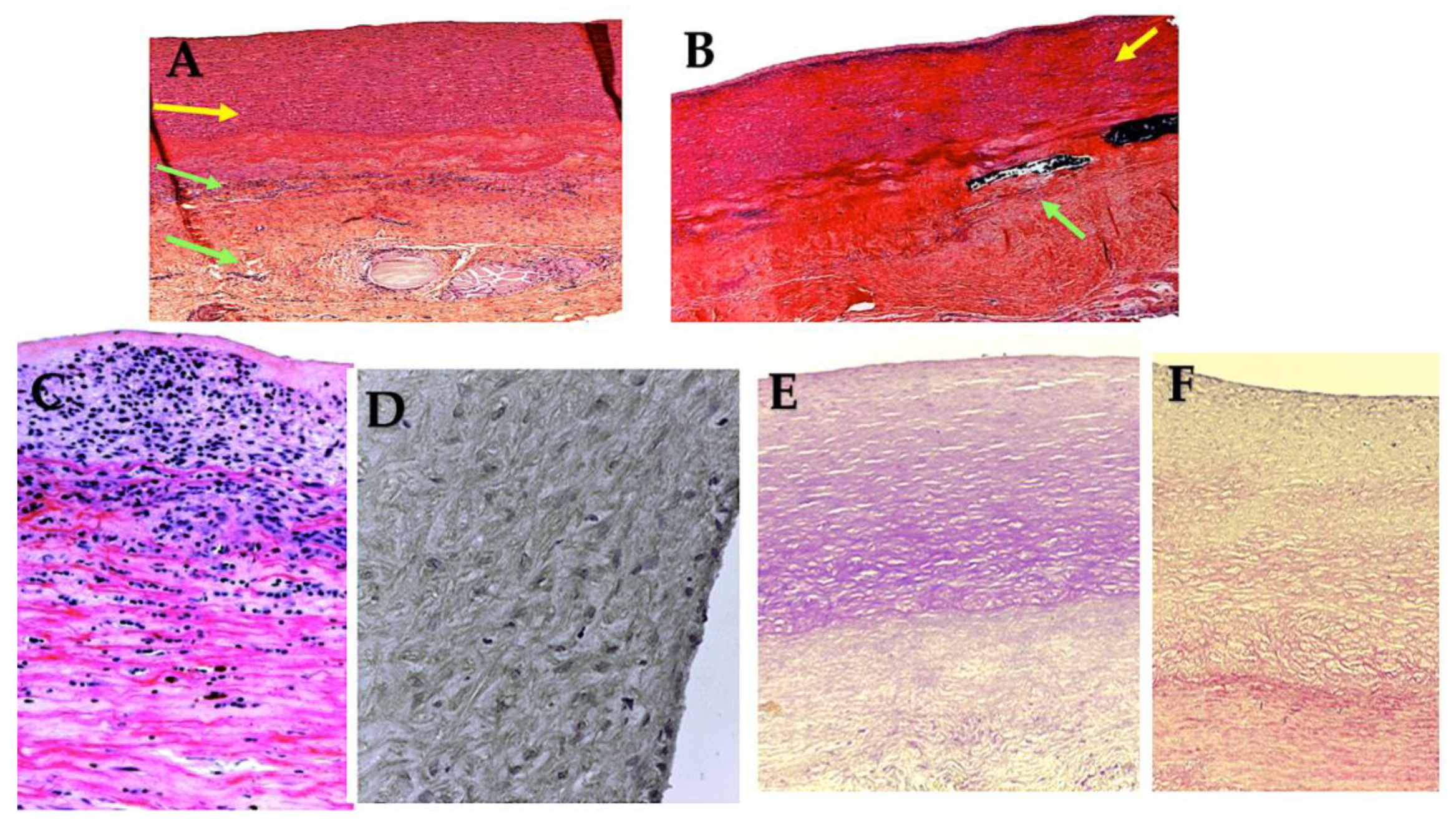 Preprints 118961 g008