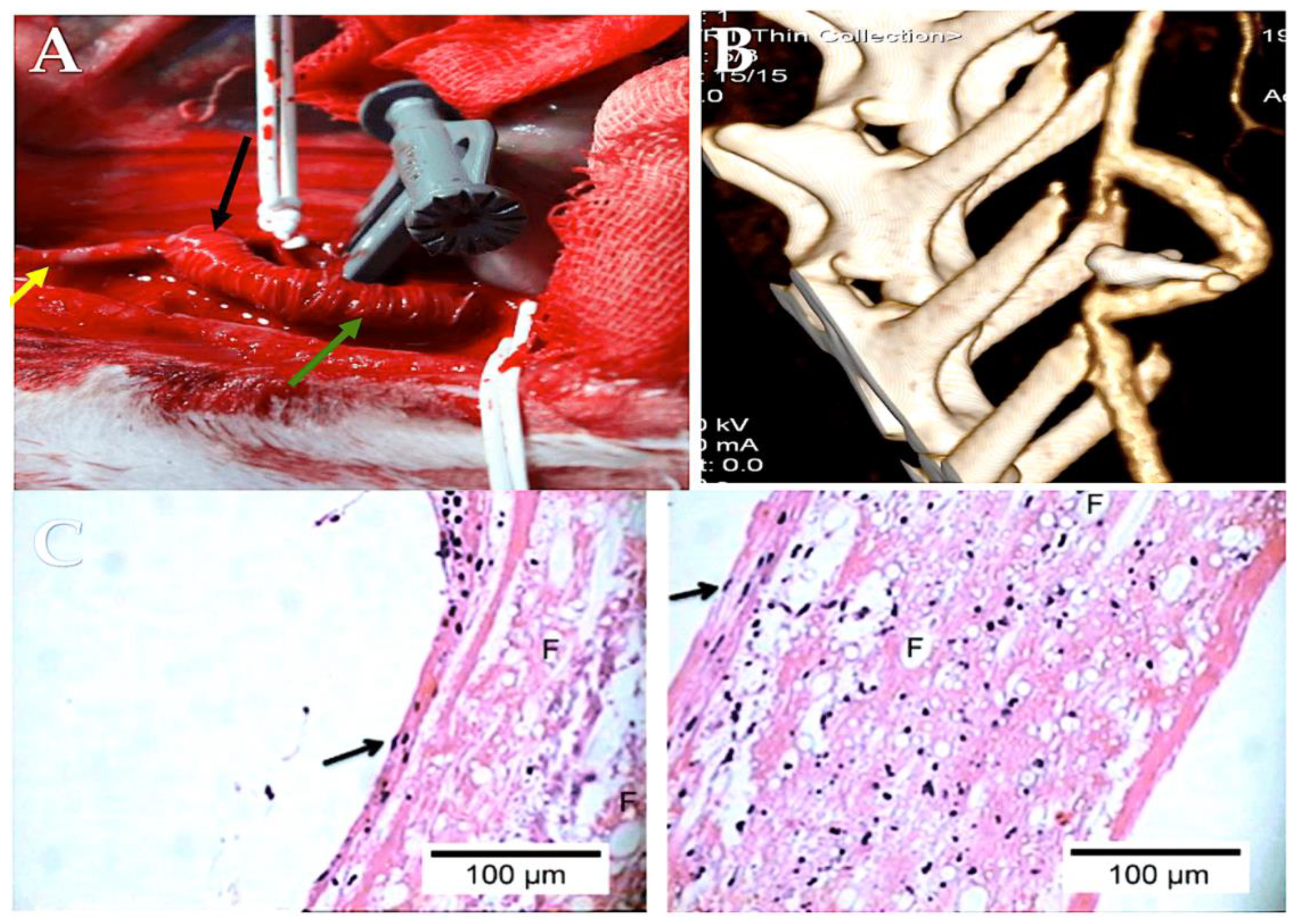 Preprints 118961 g009