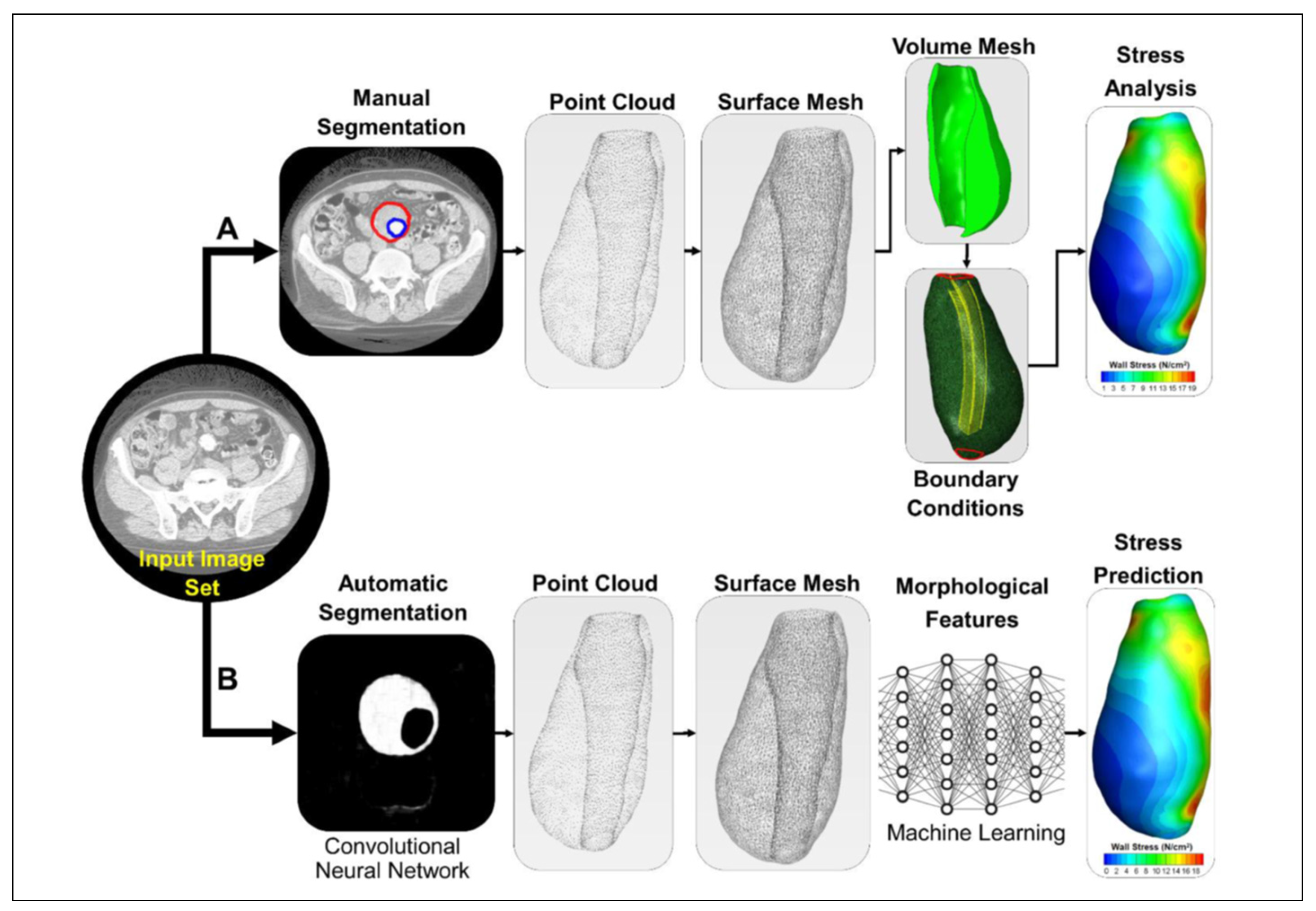 Preprints 154104 g001