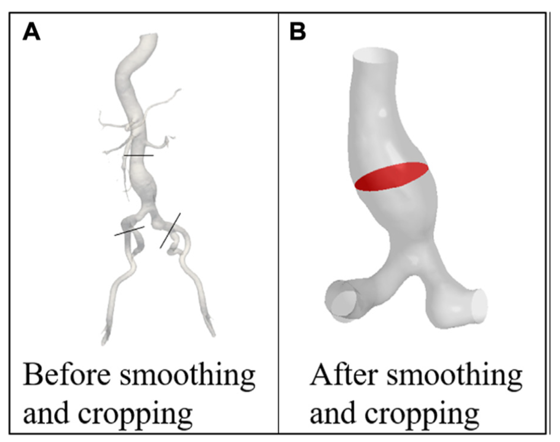 Preprints 154104 g002