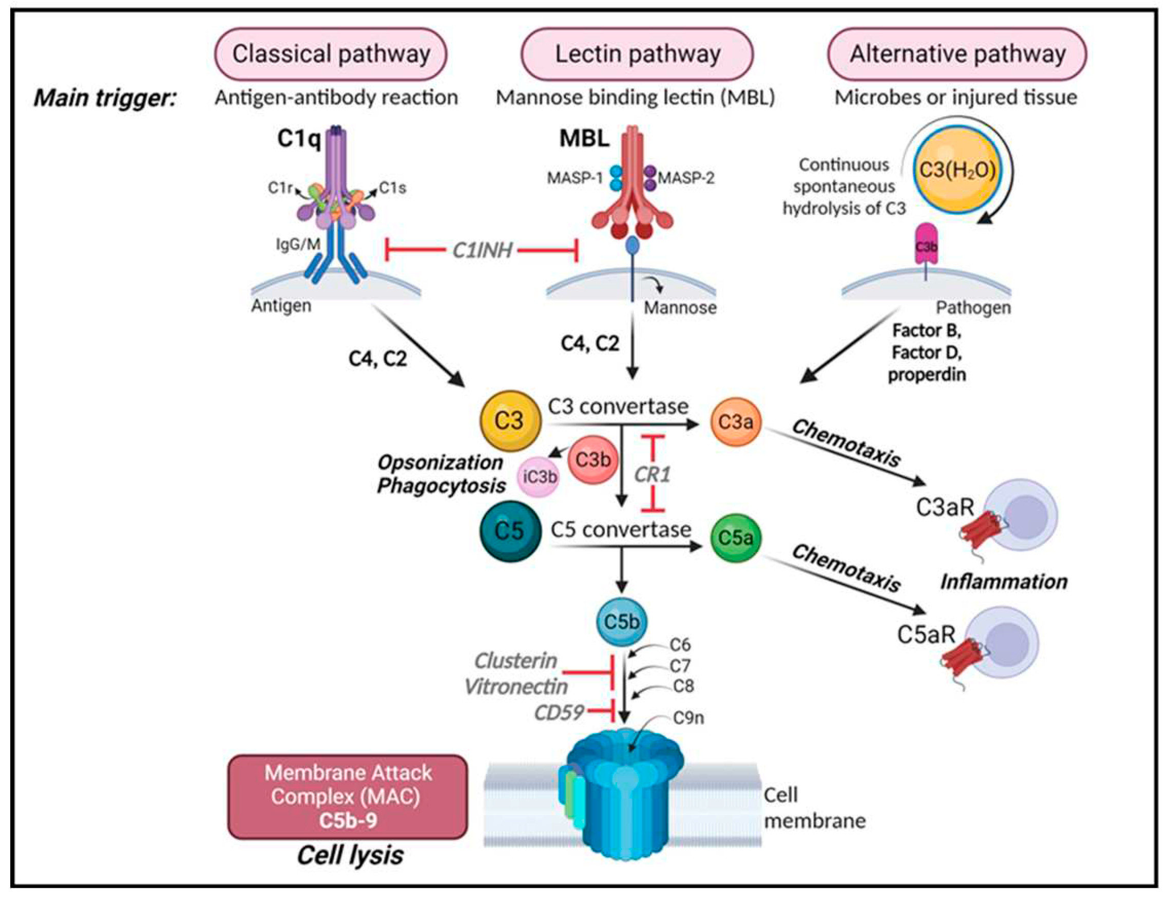 Preprints 93707 g001