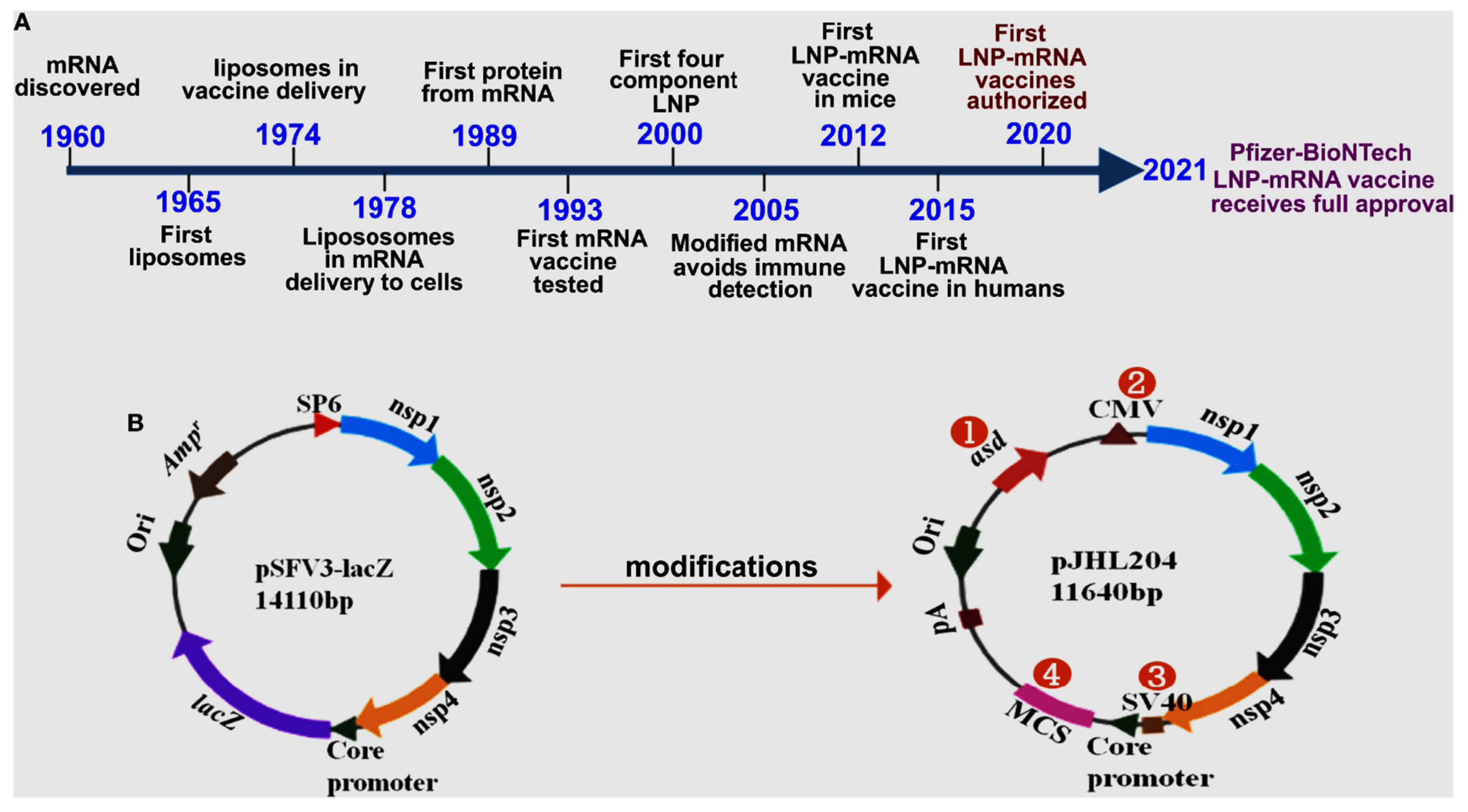 Preprints 81109 g001