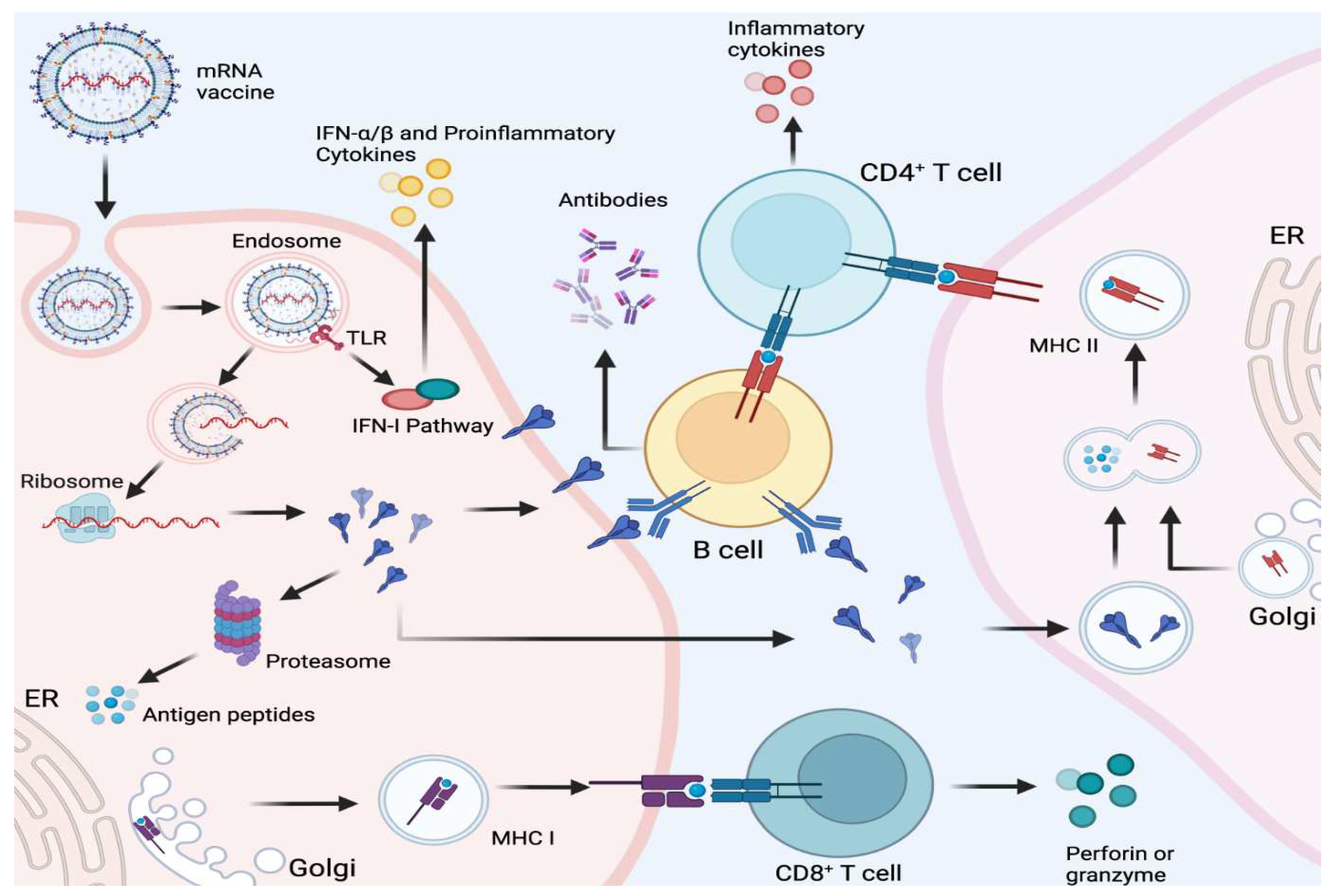 Preprints 81109 g002