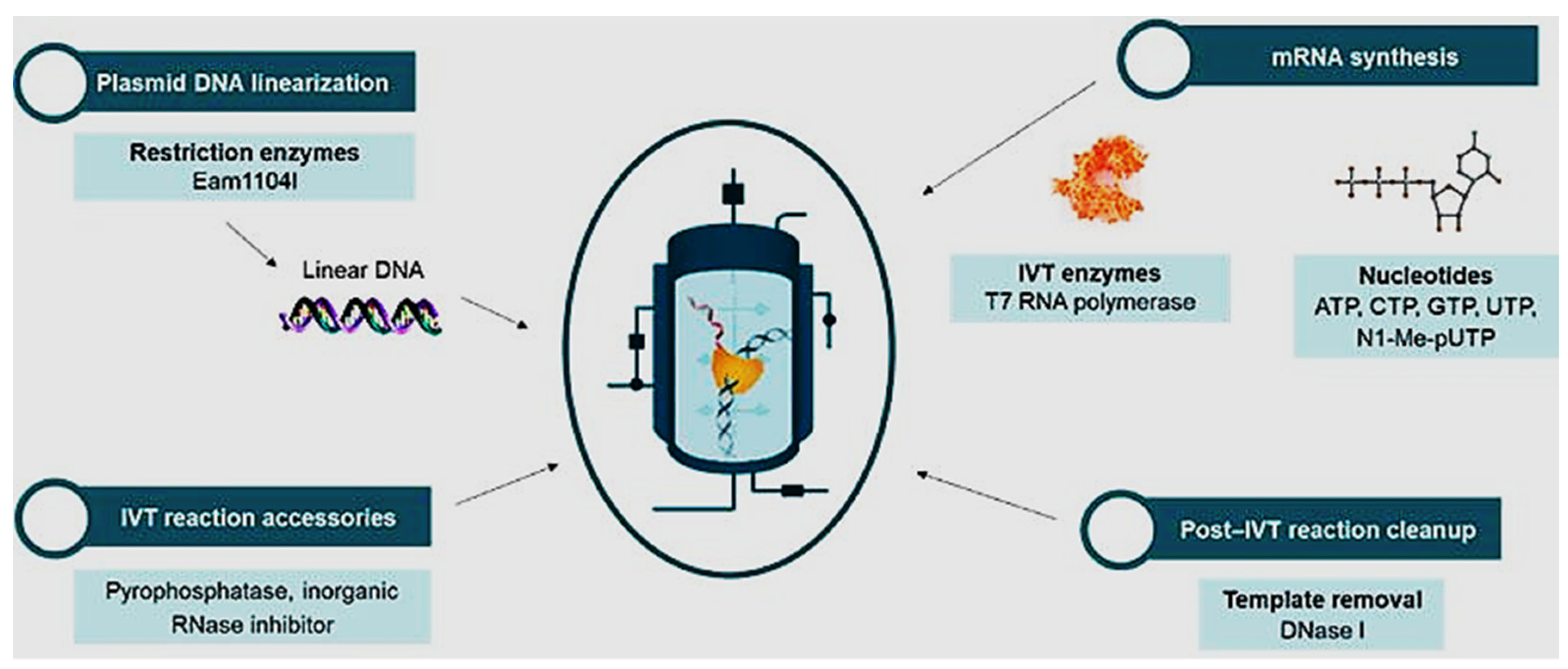 Preprints 81109 g003
