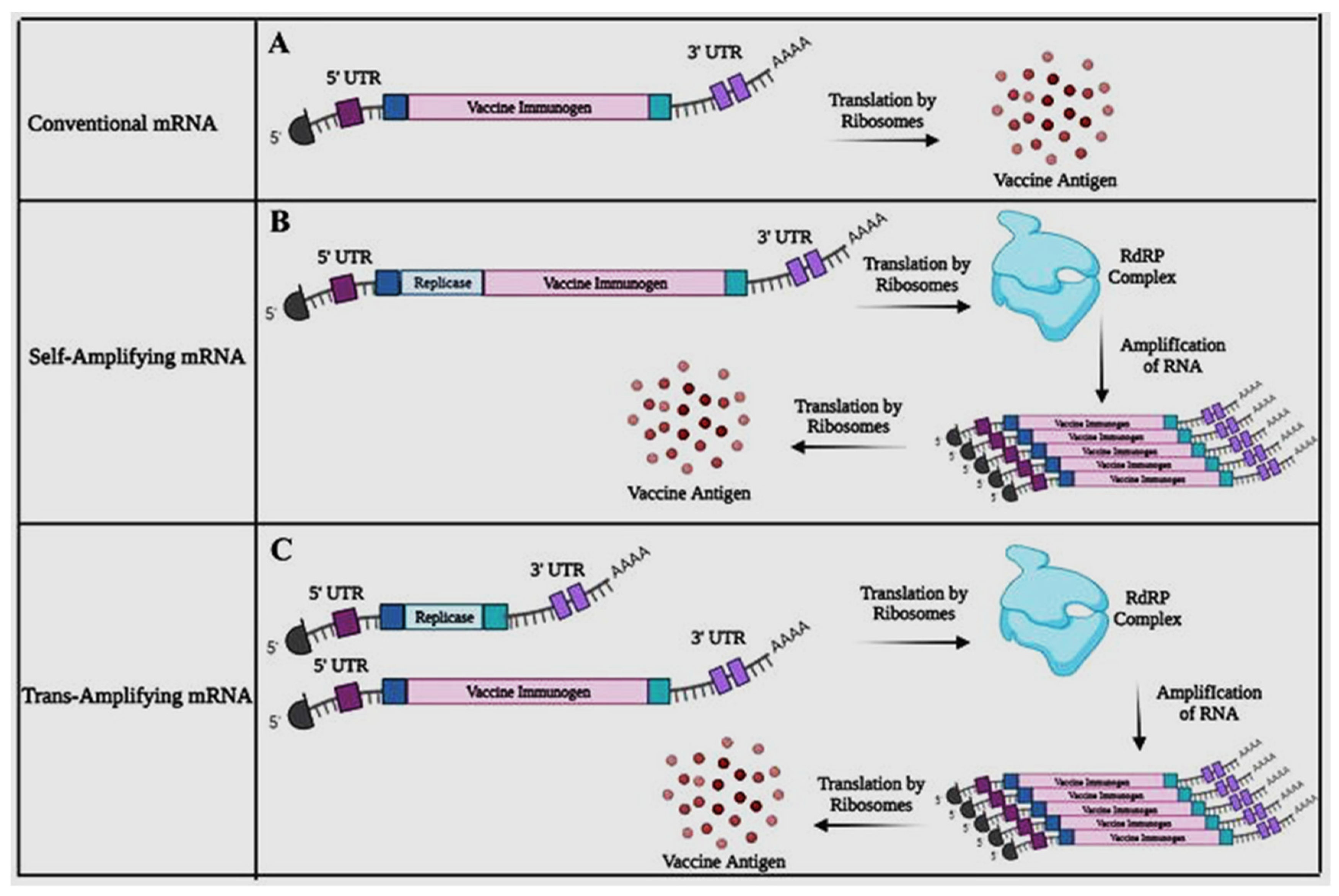 Preprints 81109 g004