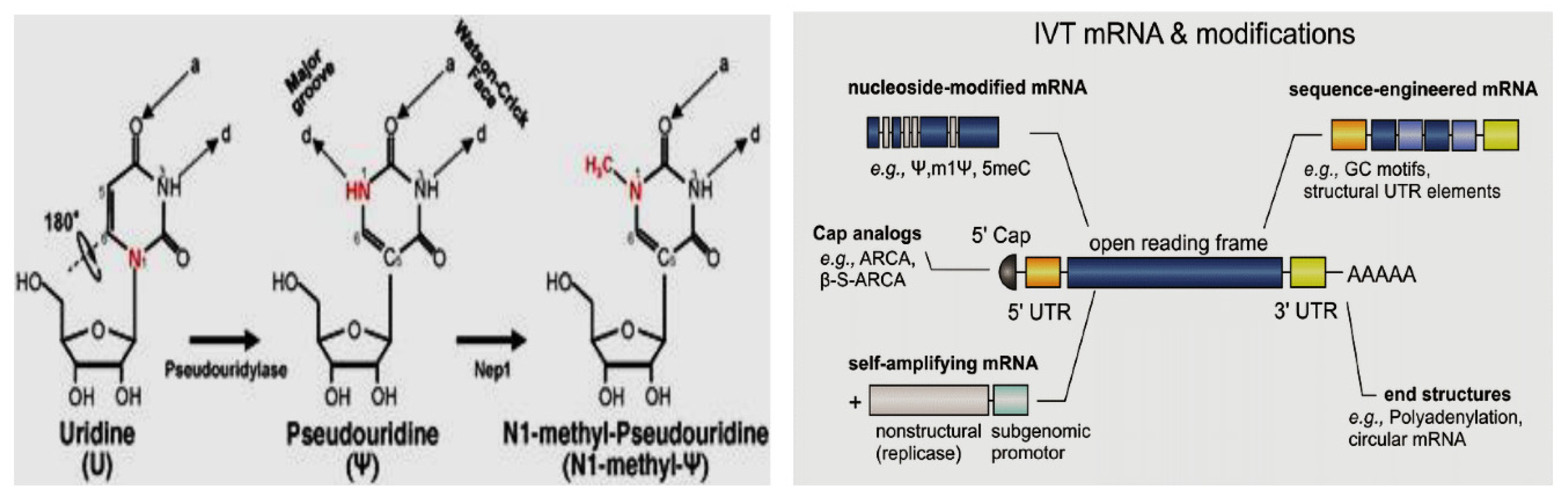Preprints 81109 g005