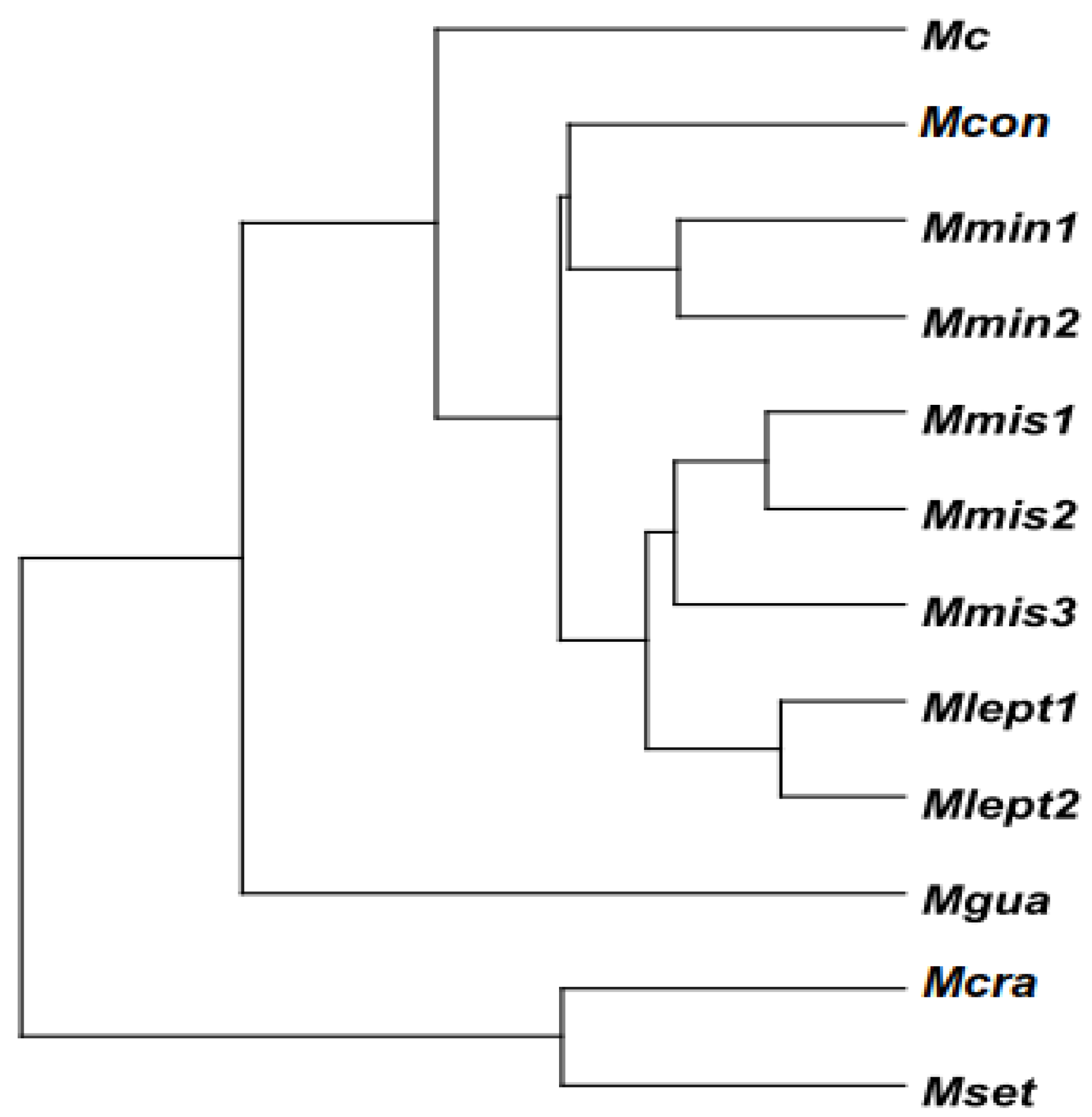 Preprints 141089 g006